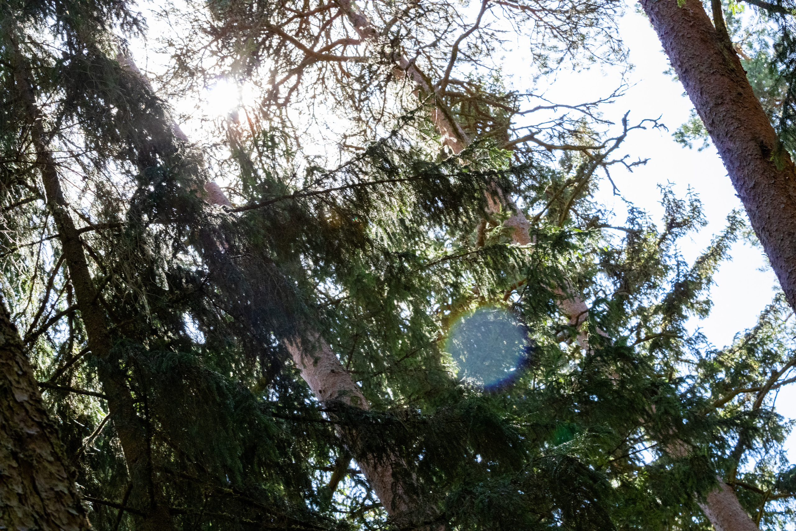 Peipsi järv (Taevaskoja). Nebula 25 — Fotod teie hingele