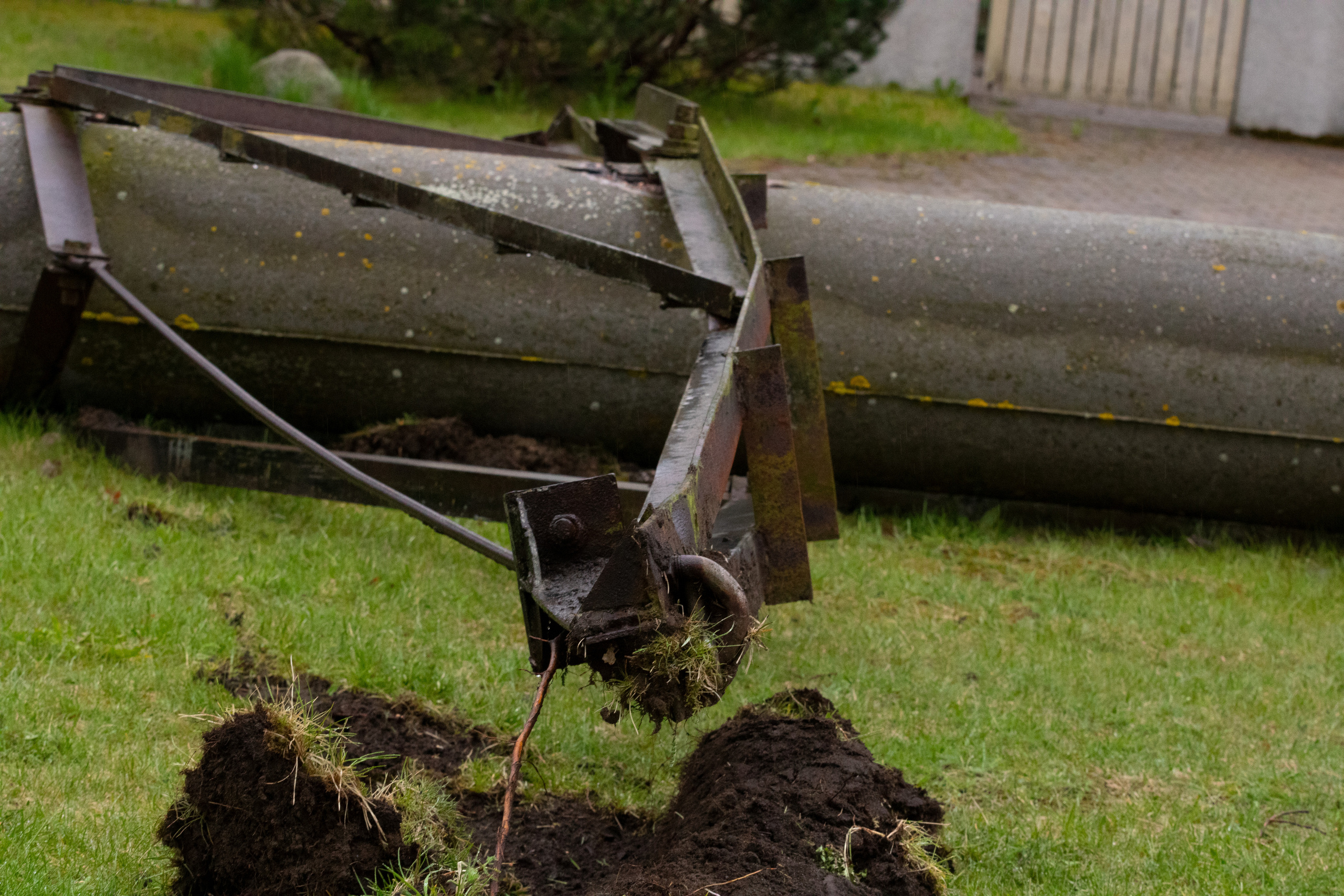 Möldre tee. Nebula 25 — Fotod teie hingele