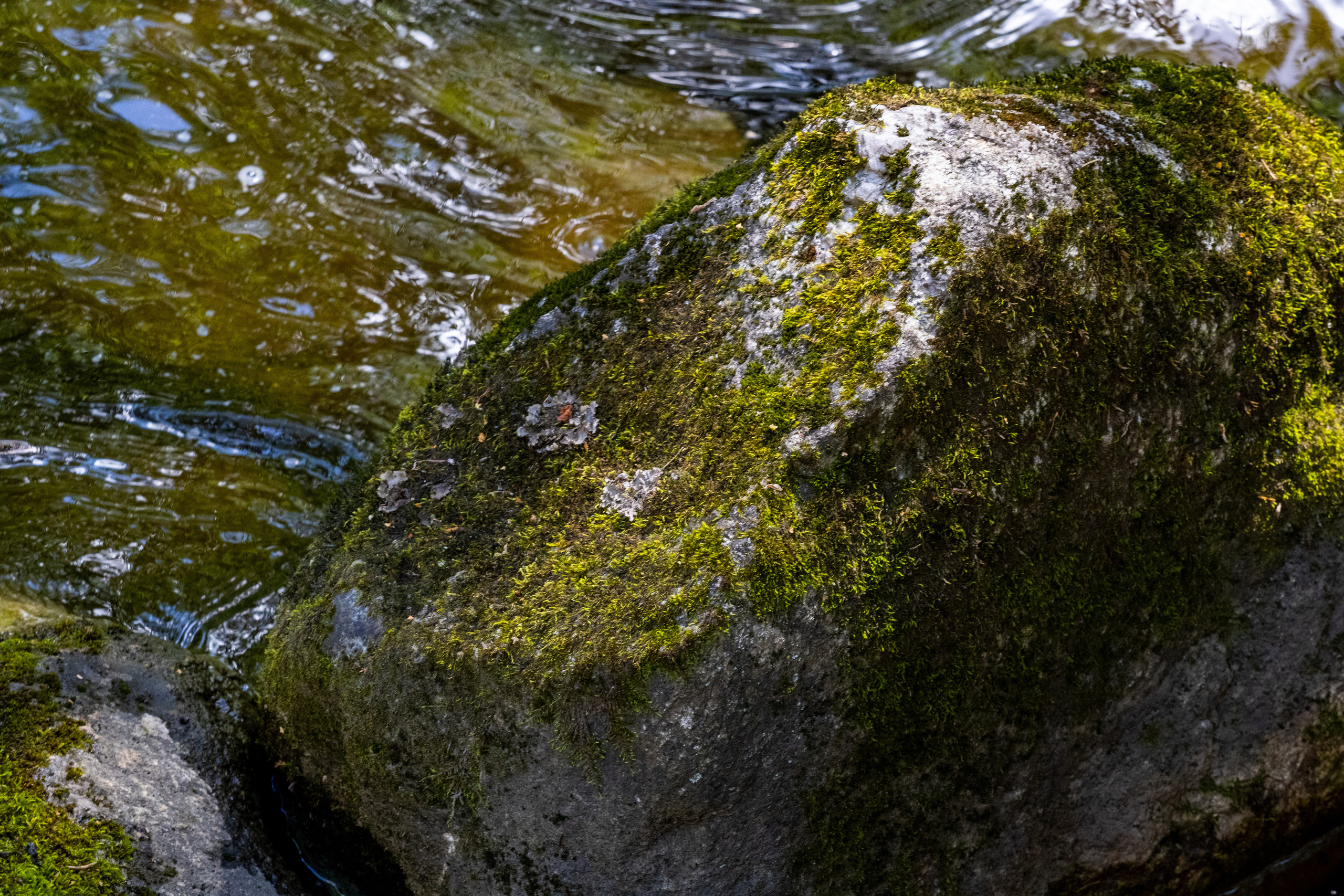 Peipsi järv (Taevaskoja). Nebula 25 — Fotod teie hingele
