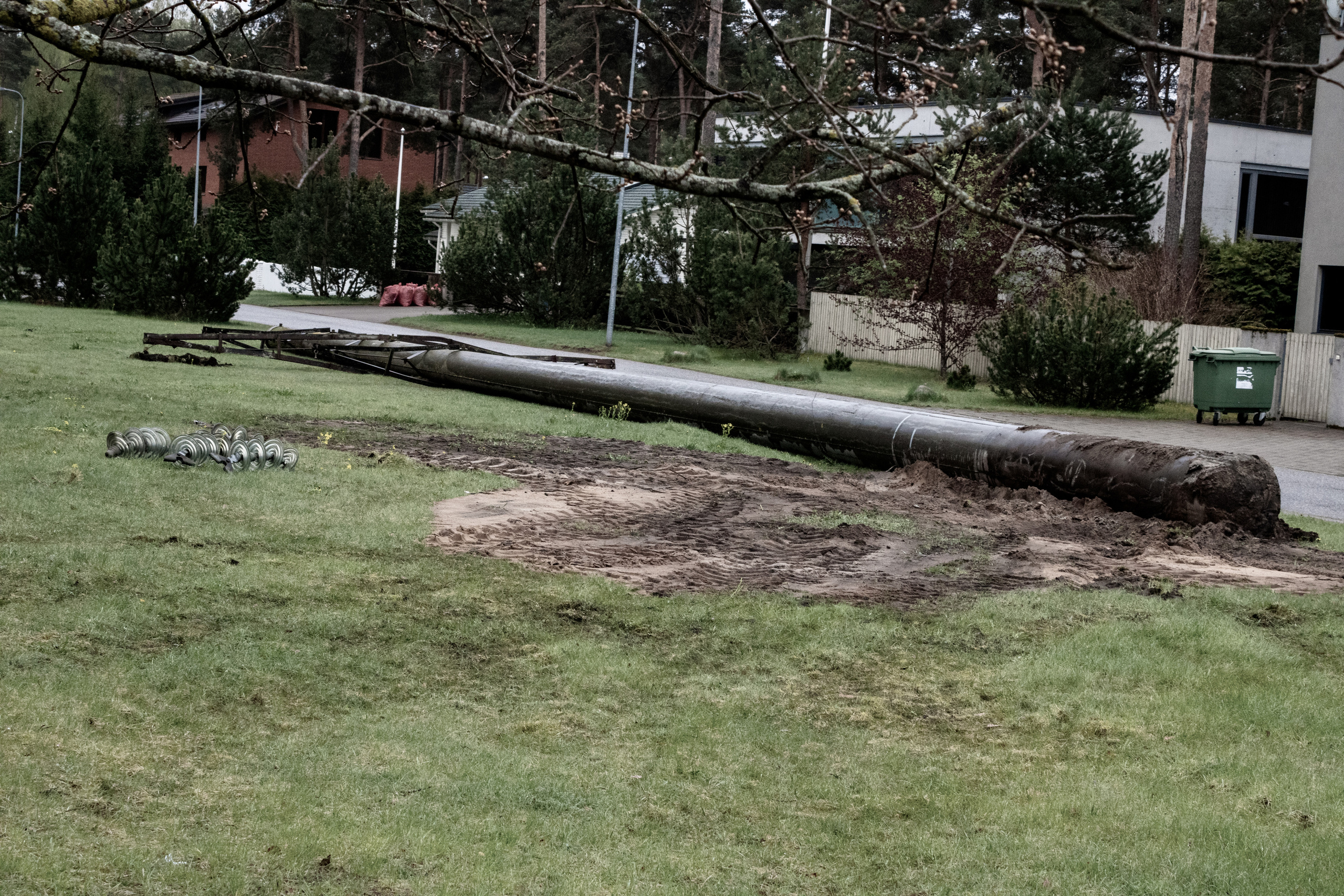 Möldre tee. Nebula 25 — Fotod teie hingele