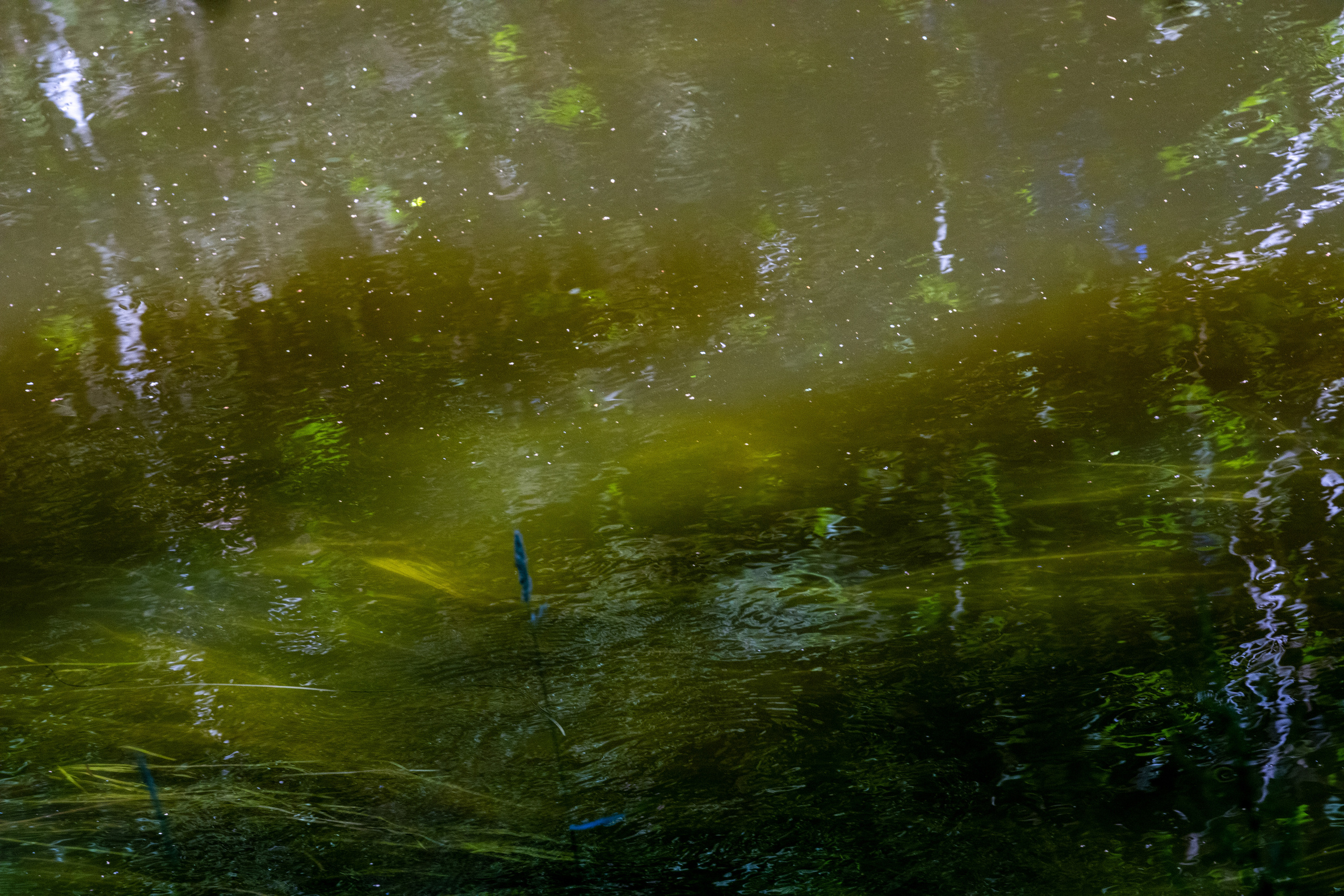 Peipsi järv (Taevaskoja). Nebula 25 — Fotod teie hingele