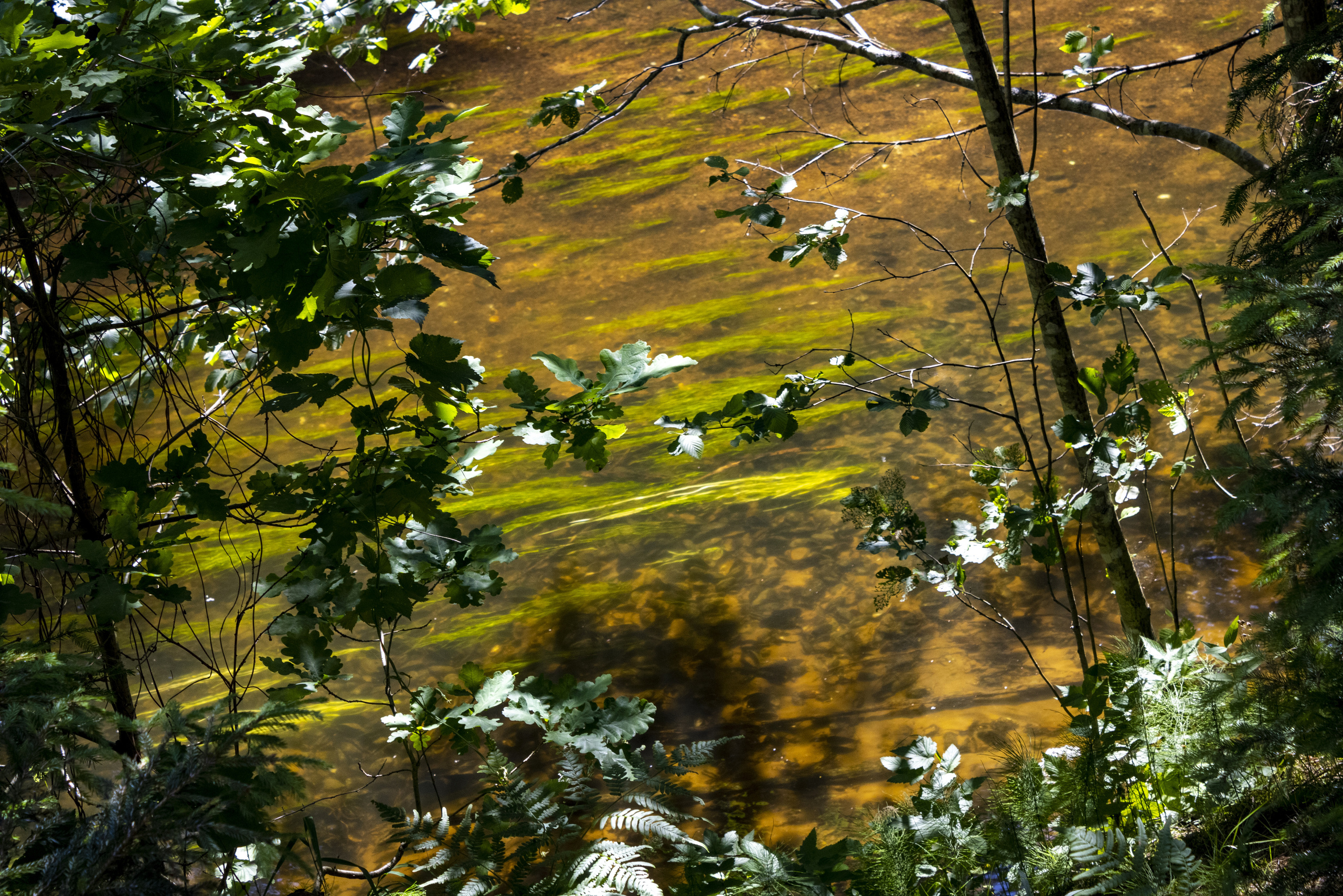 Peipsi järv (Taevaskoja). Nebula 25 — Fotod teie hingele