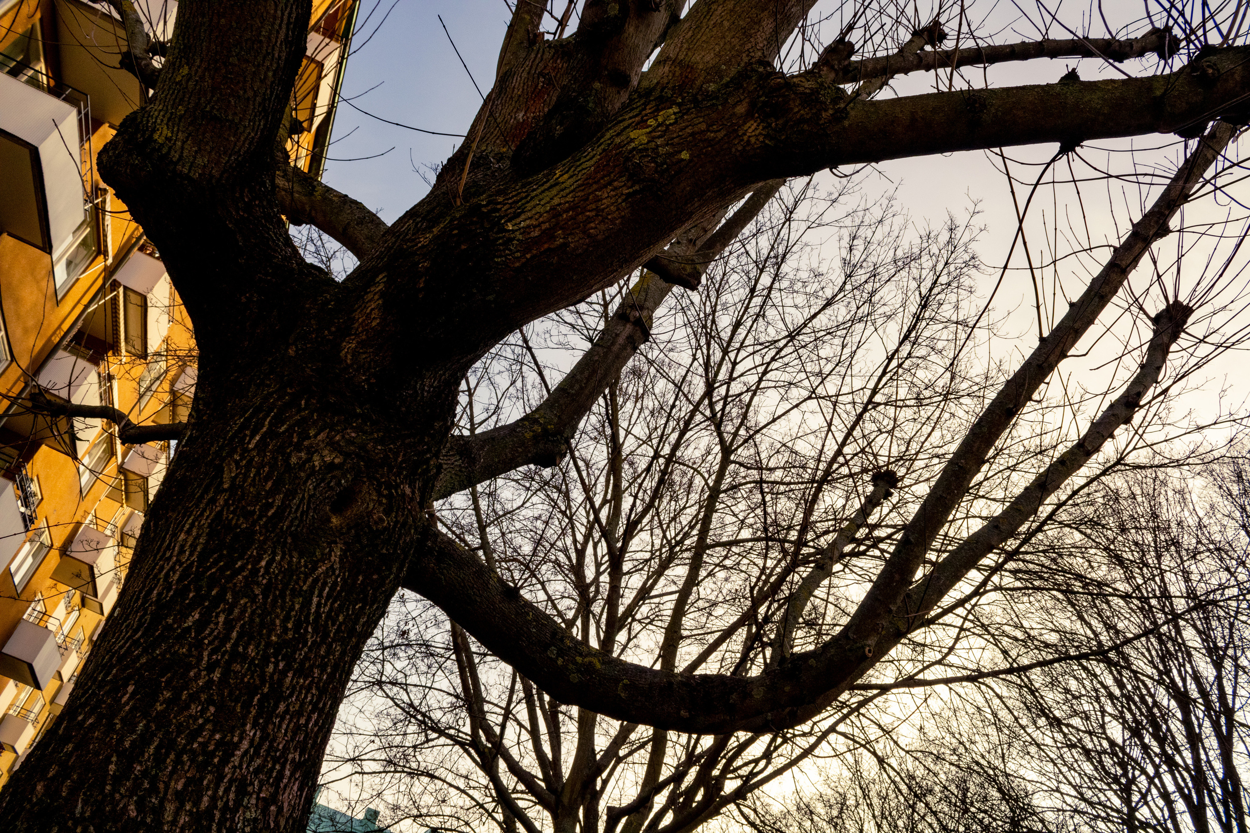 Rootsi reis. Nebula 25 — Fotod teie hingele