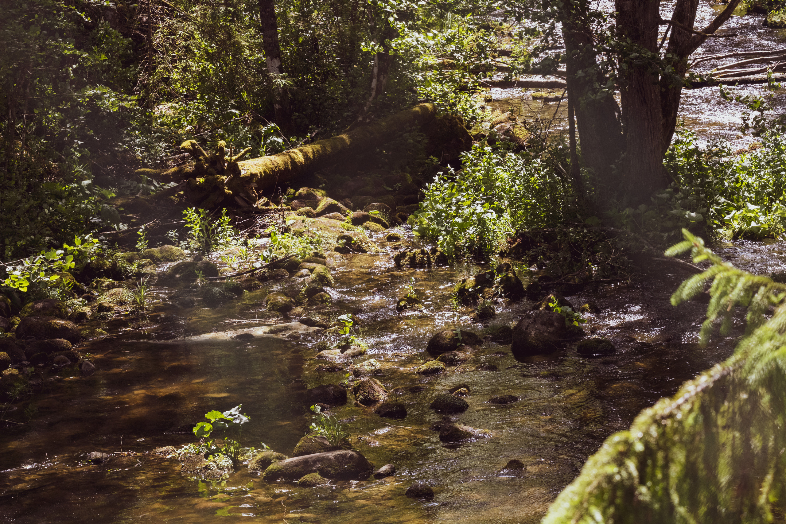 Peipsi järv (Taevaskoja). Nebula 25 — Fotod teie hingele