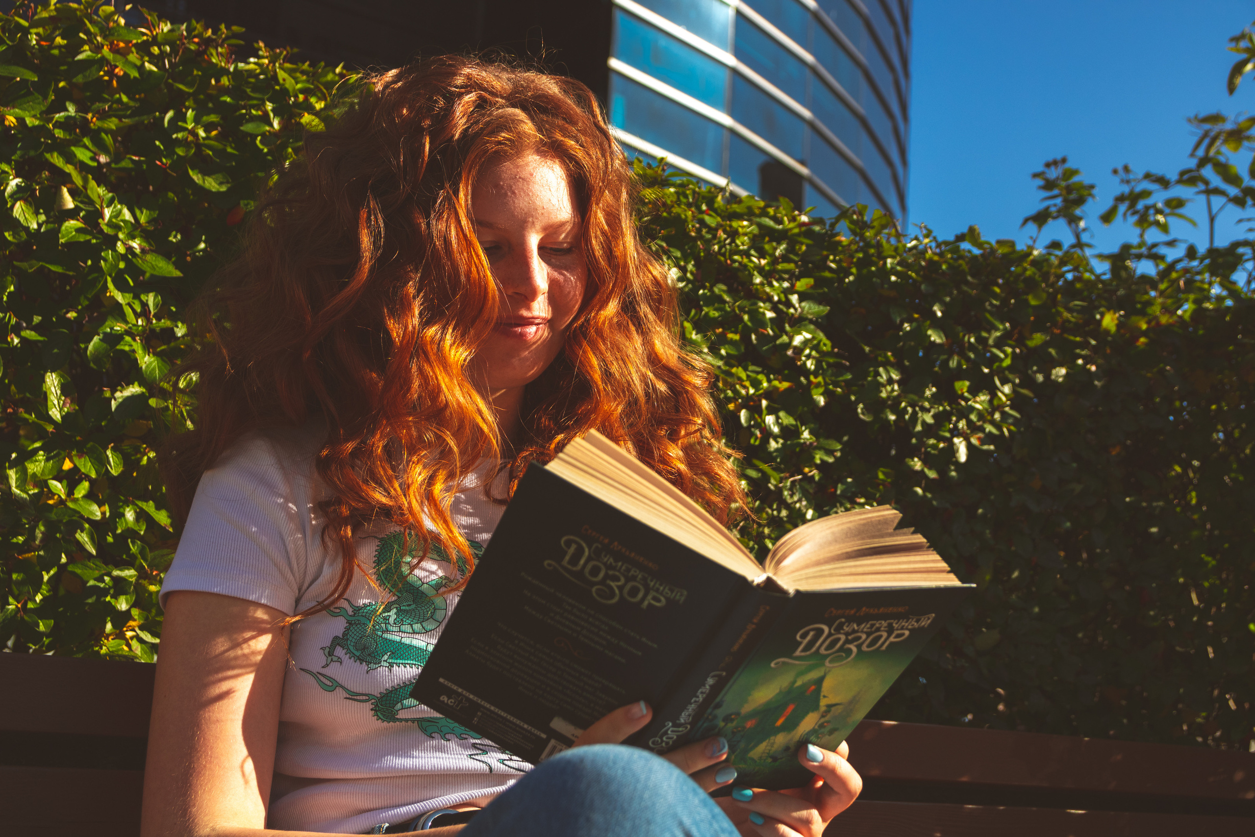 Päevalilled (Nika A.). Nebula 25 — Fotod teie hingele