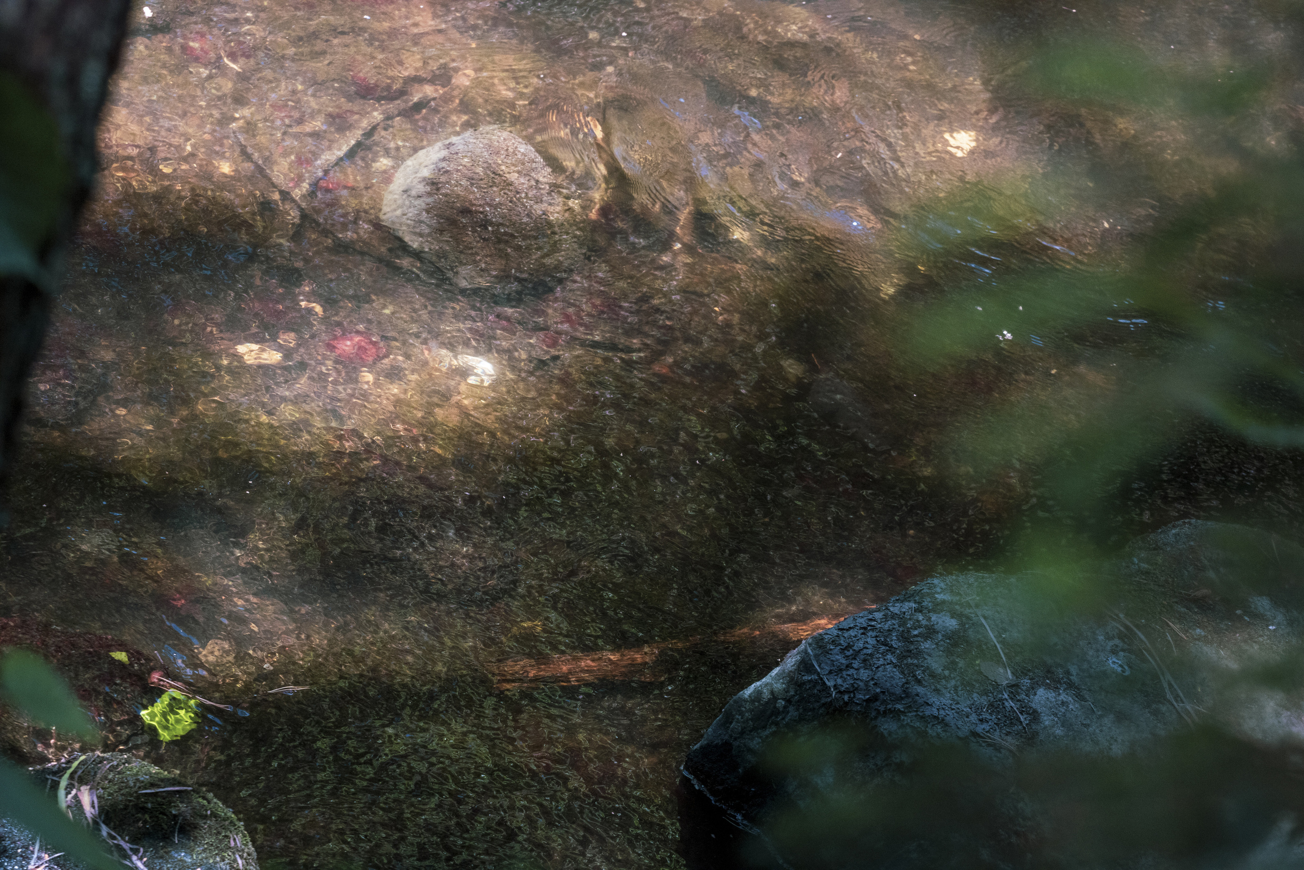 Peipsi järv (Taevaskoja). Nebula 25 — Fotod teie hingele