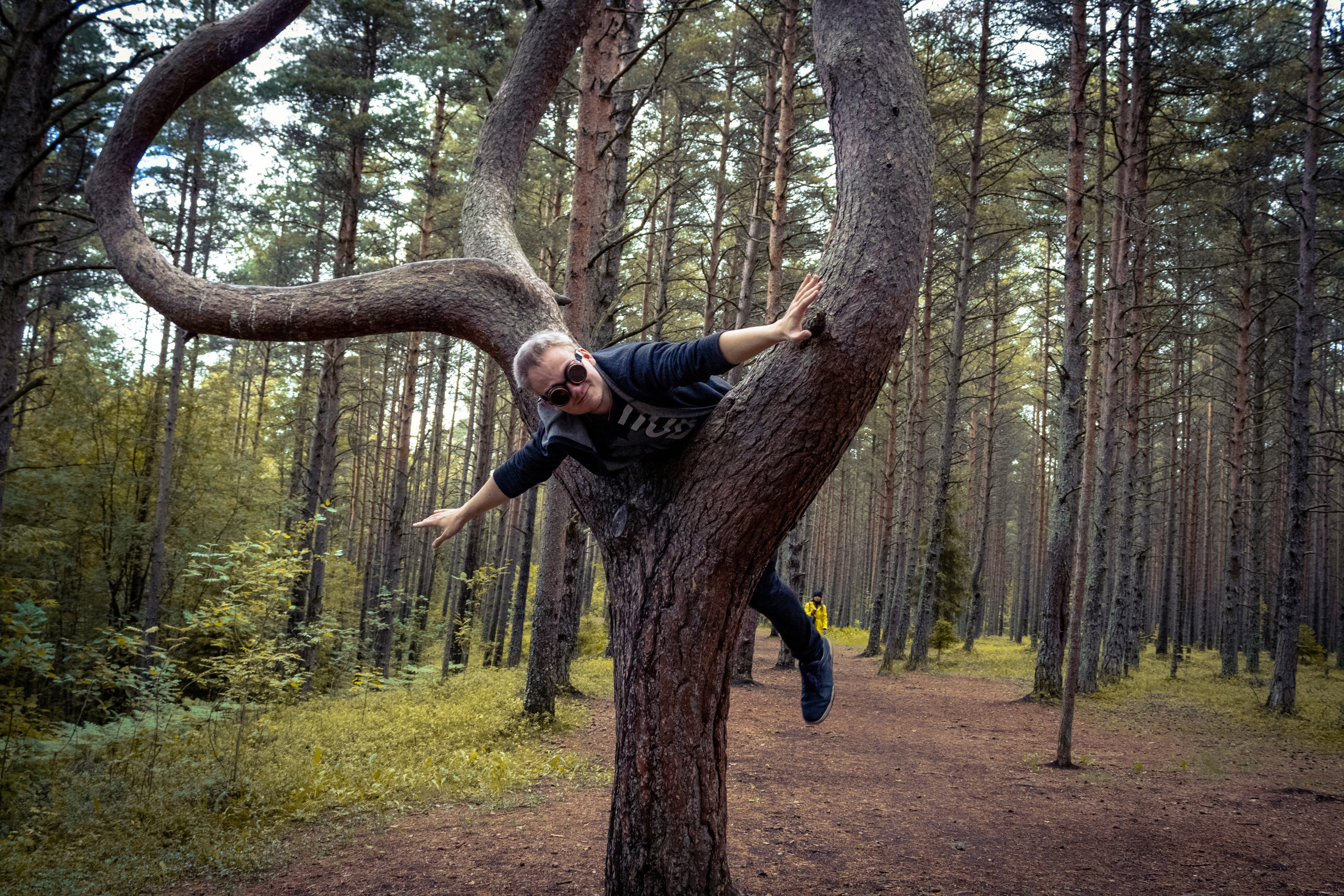 Pääsküla rabarada (Kolja J.). Nebula 25 — Fotod teie hingele