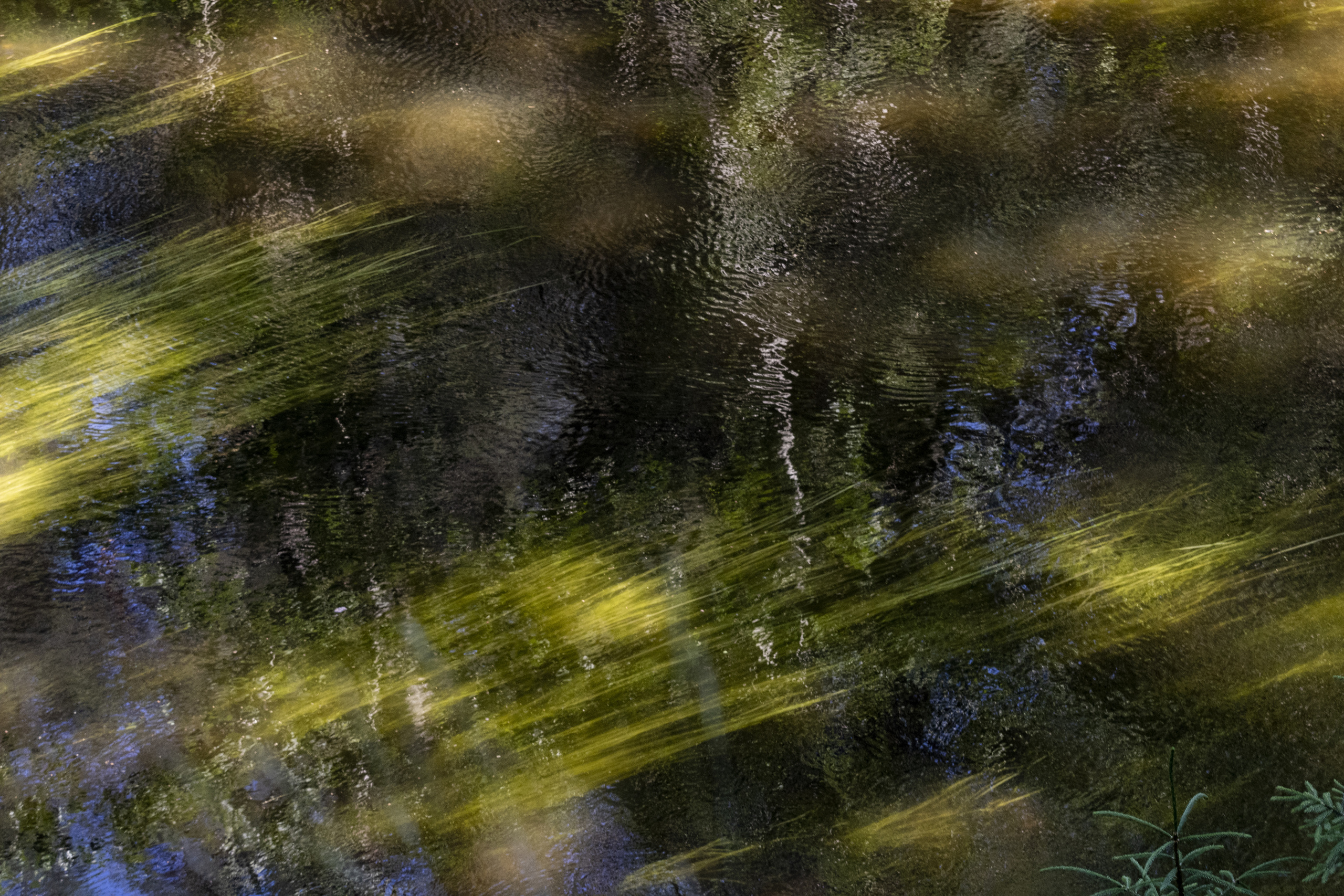 Peipsi järv (Taevaskoja). Nebula 25 — Fotod teie hingele