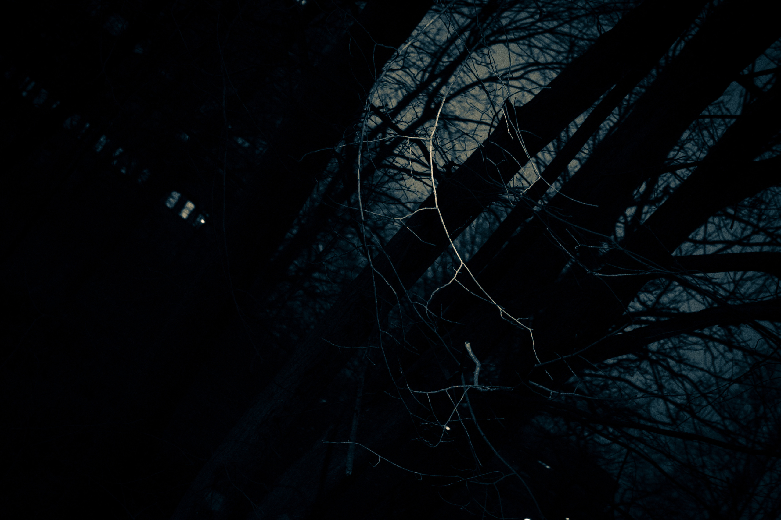 Rootsi reis. Nebula 25 — Fotod teie hingele