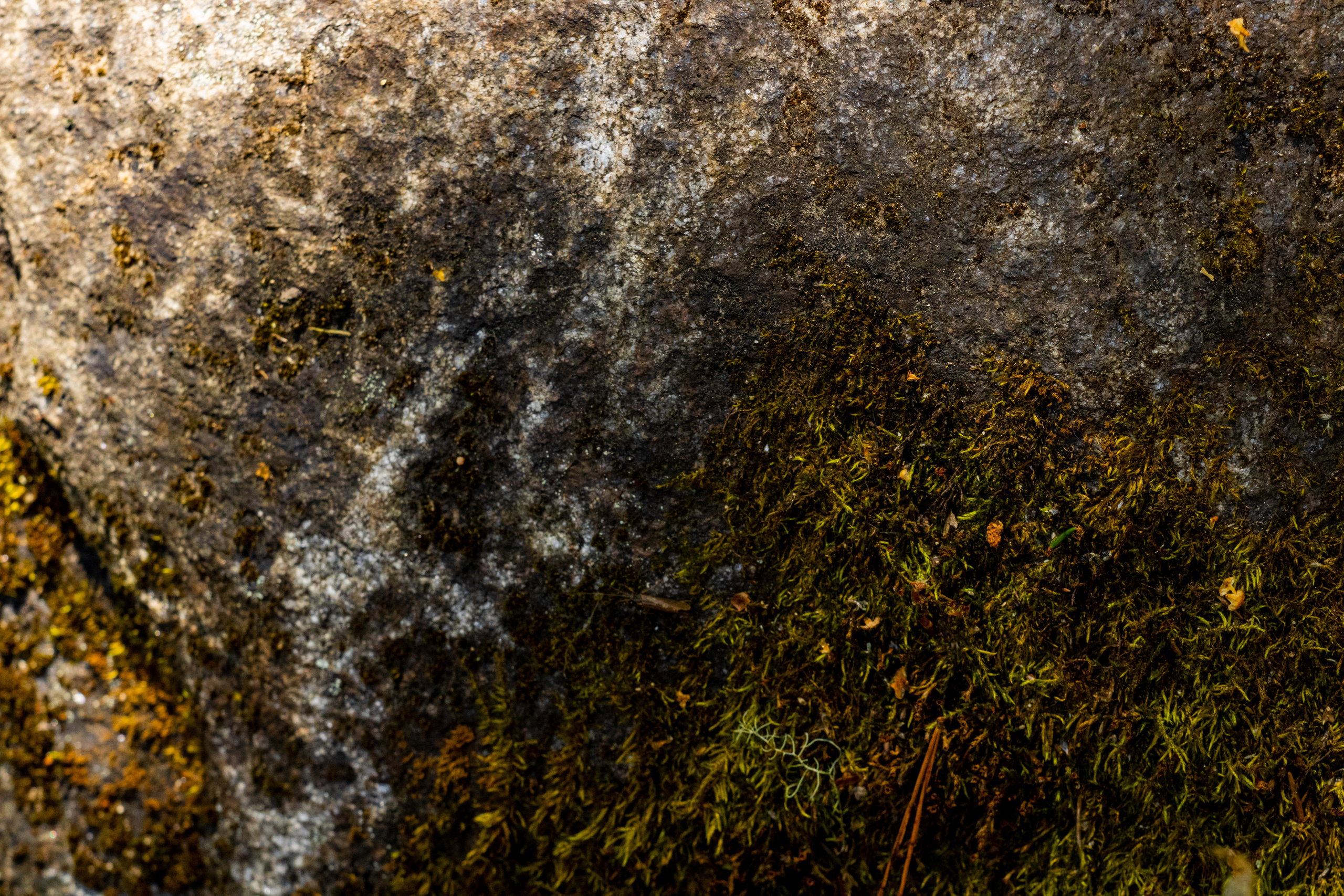 Peipsi järv (Taevaskoja). Nebula 25 — Fotod teie hingele