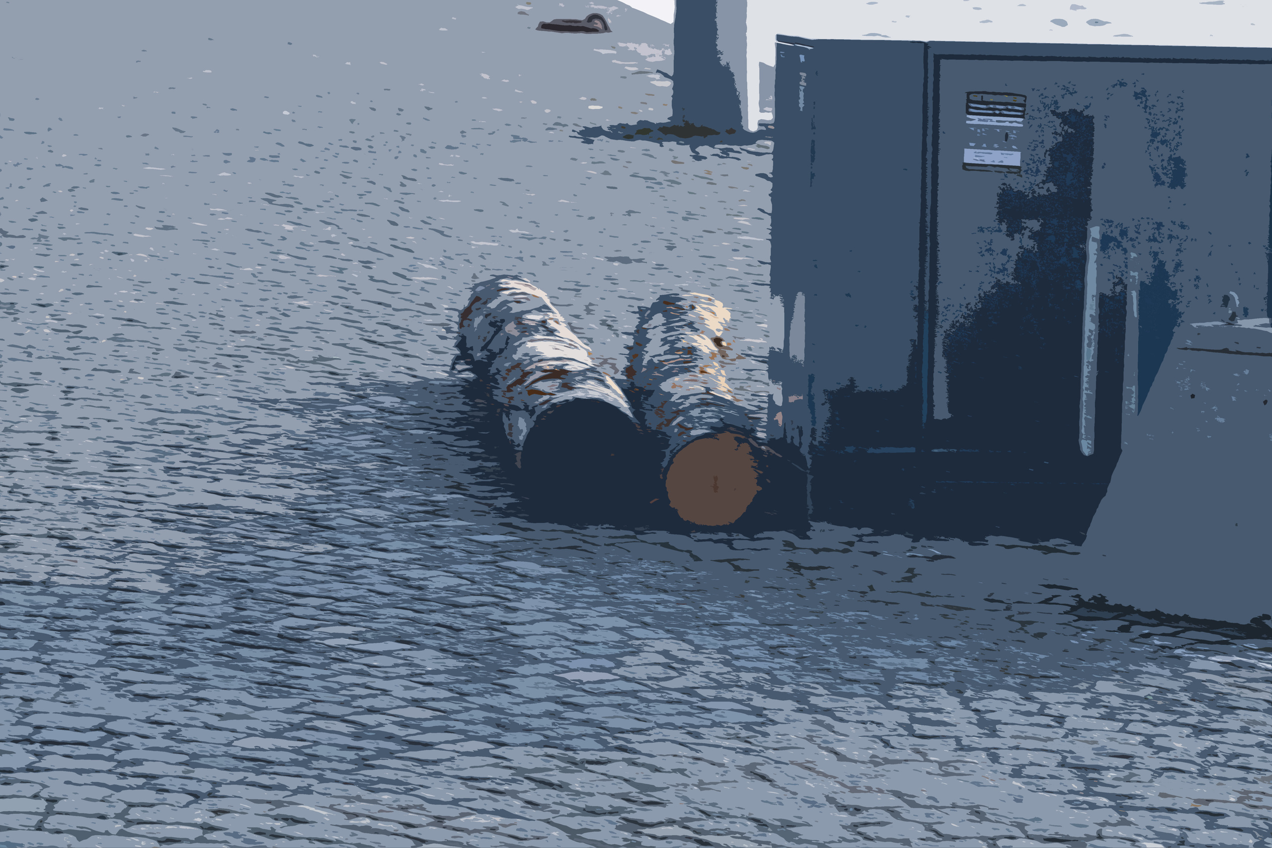 Rootsi reis. Nebula 25 — Fotod teie hingele