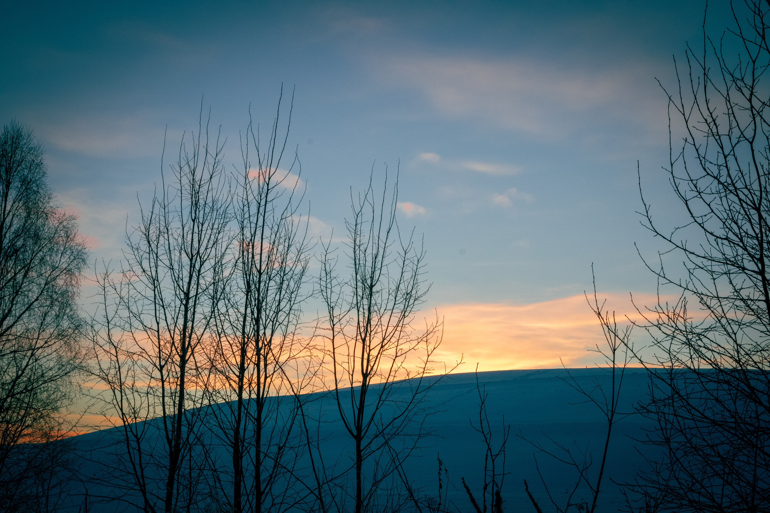 Talvine mets (2021 a.). Nebula 25 — Fotod teie hingele
