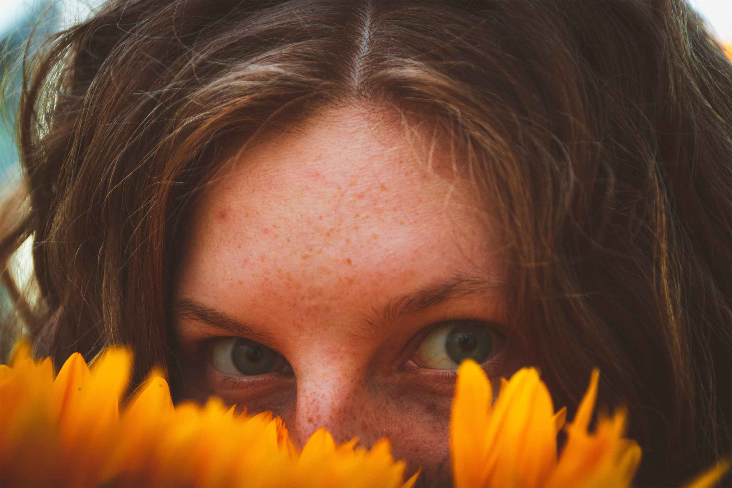 Päevalilled (Nika A.). Nebula 25 — Fotod teie hingele