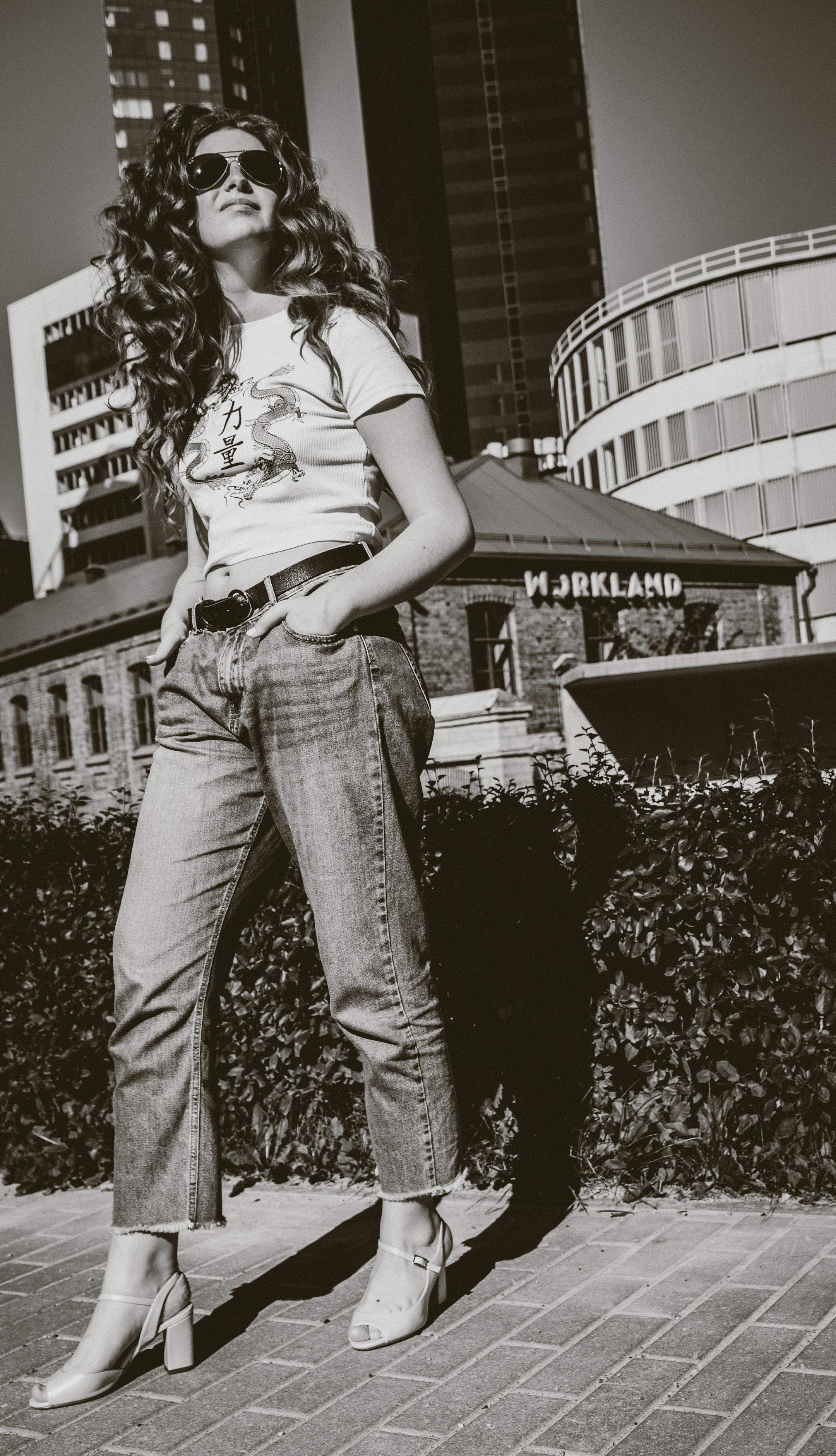 Päevalilled (Nika A.). Nebula 25 — Fotod teie hingele