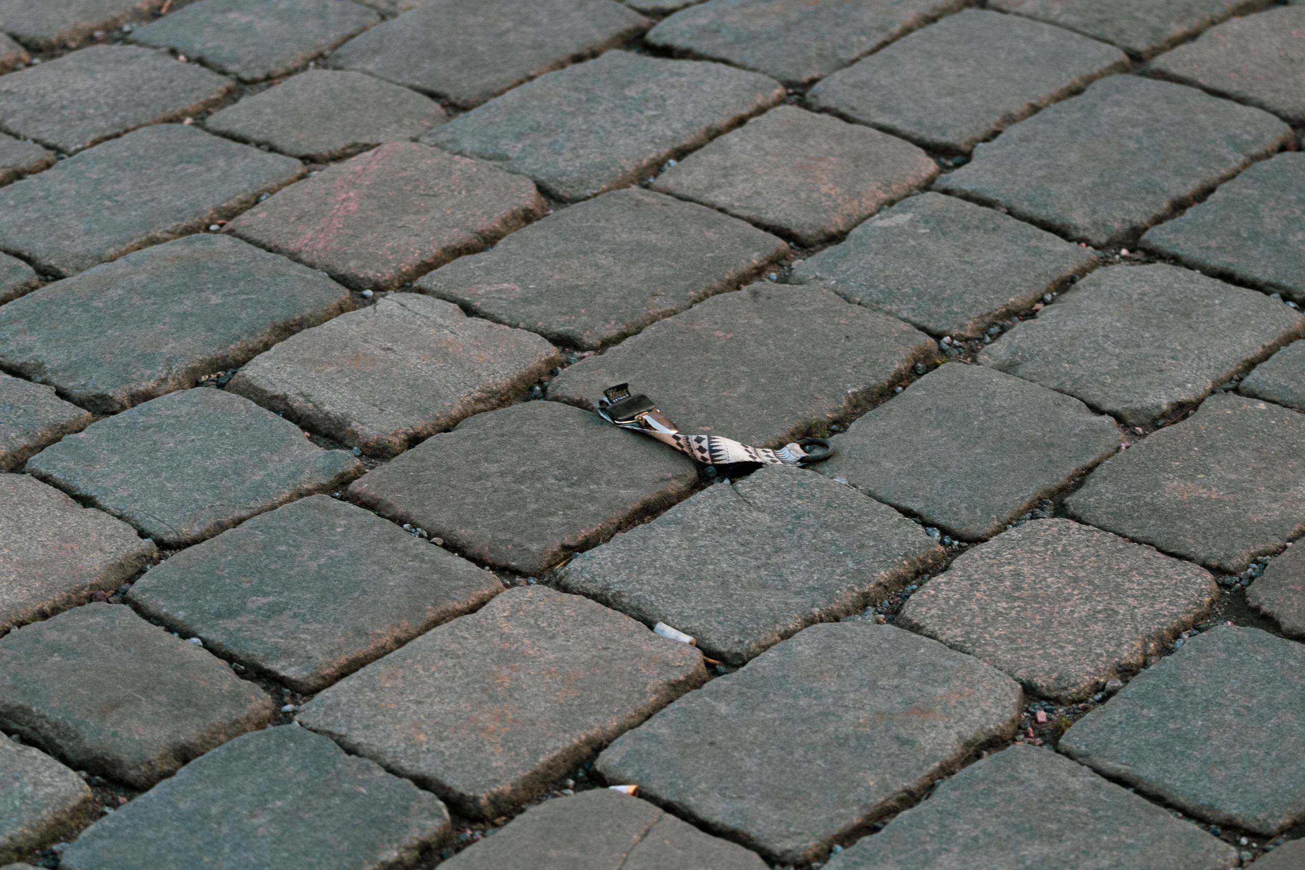 Rootsi reis. Nebula 25 — Fotod teie hingele