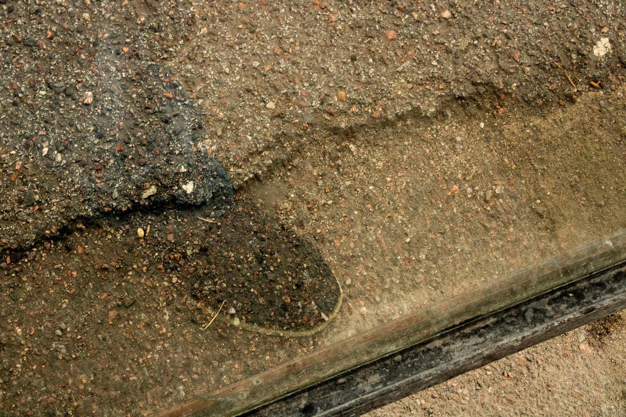 Möldre tee. Nebula 25 — Fotod teie hingele