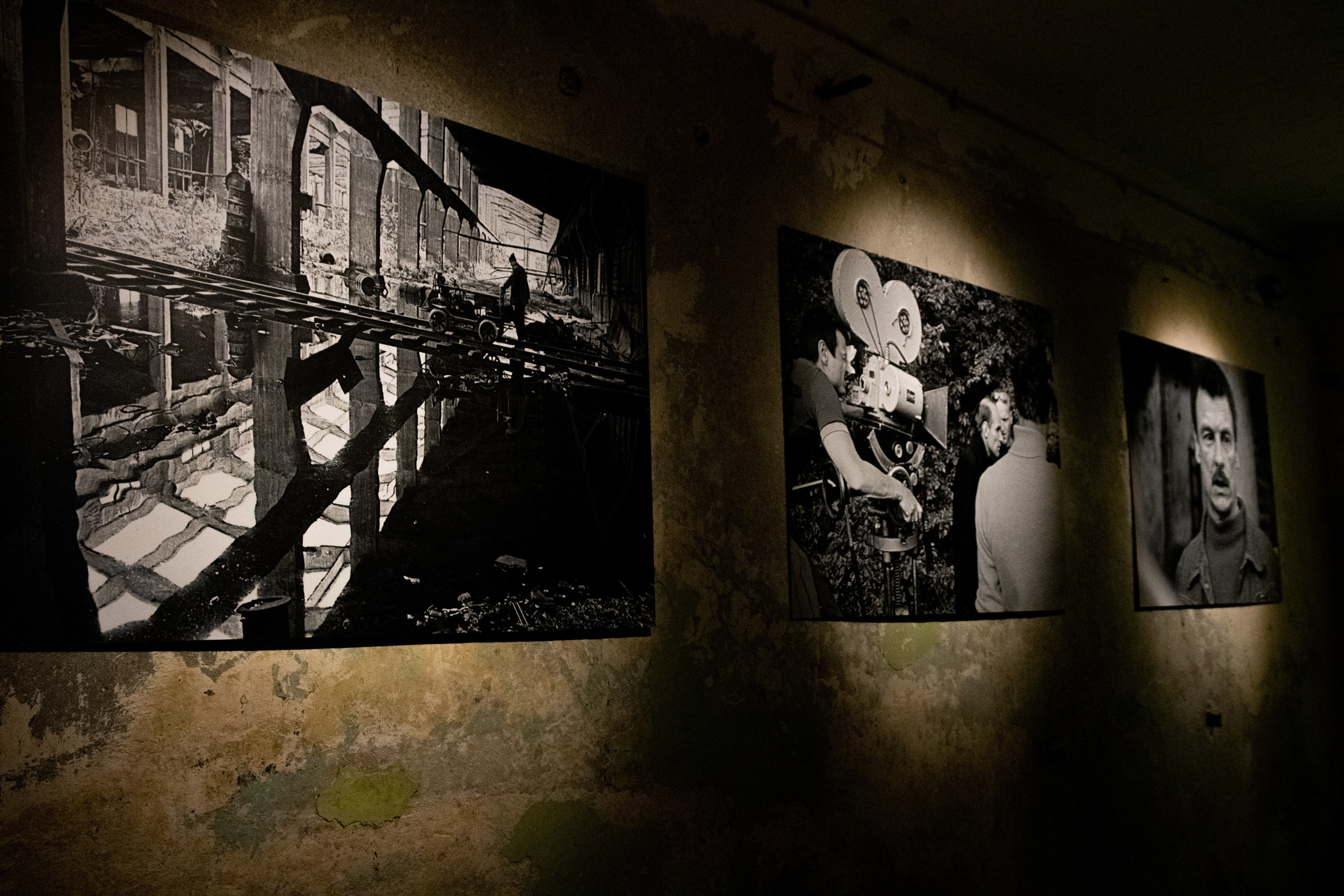 Tsoon „Stalker“ ja Volkswagen Beetle. Nebula 25 — Fotod teie hingele