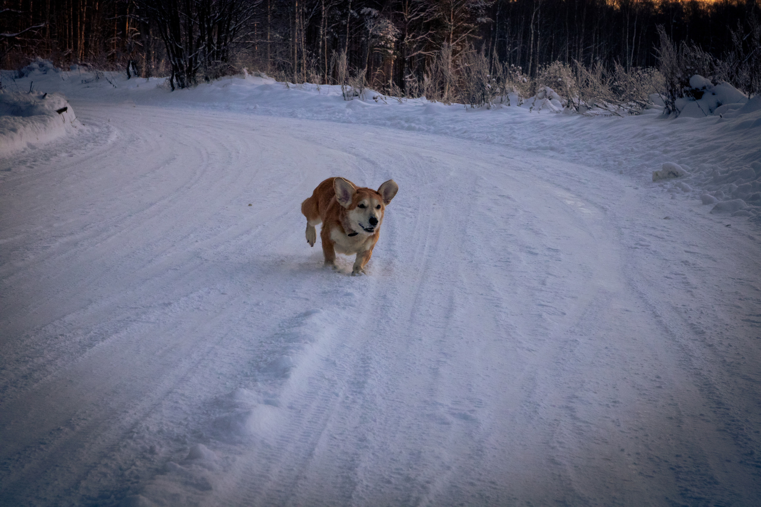 Talvine mets (2021 a.). Nebula 25 — Fotod teie hingele