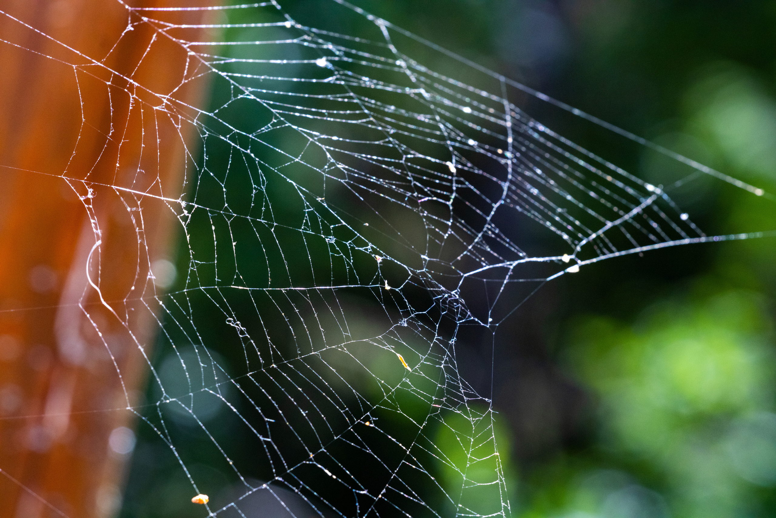 Peipsi järv (Taevaskoja). Nebula 25 — Fotod teie hingele