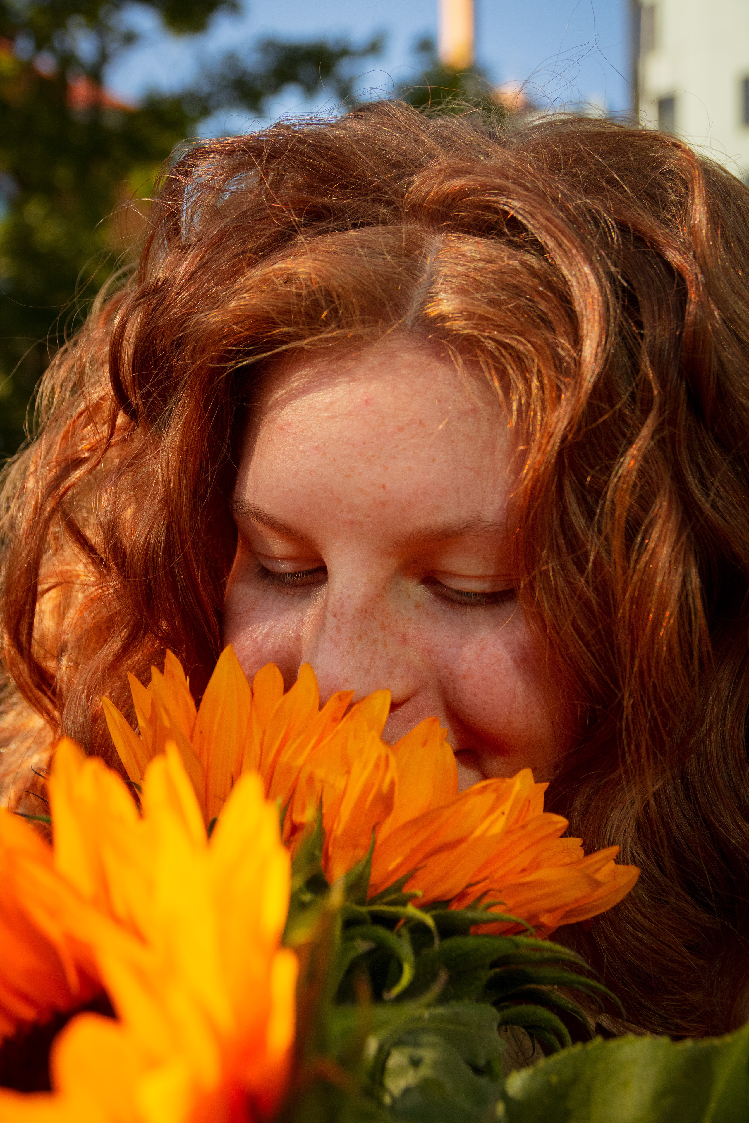 Päevalilled (Nika A.). Nebula 25 — Fotod teie hingele