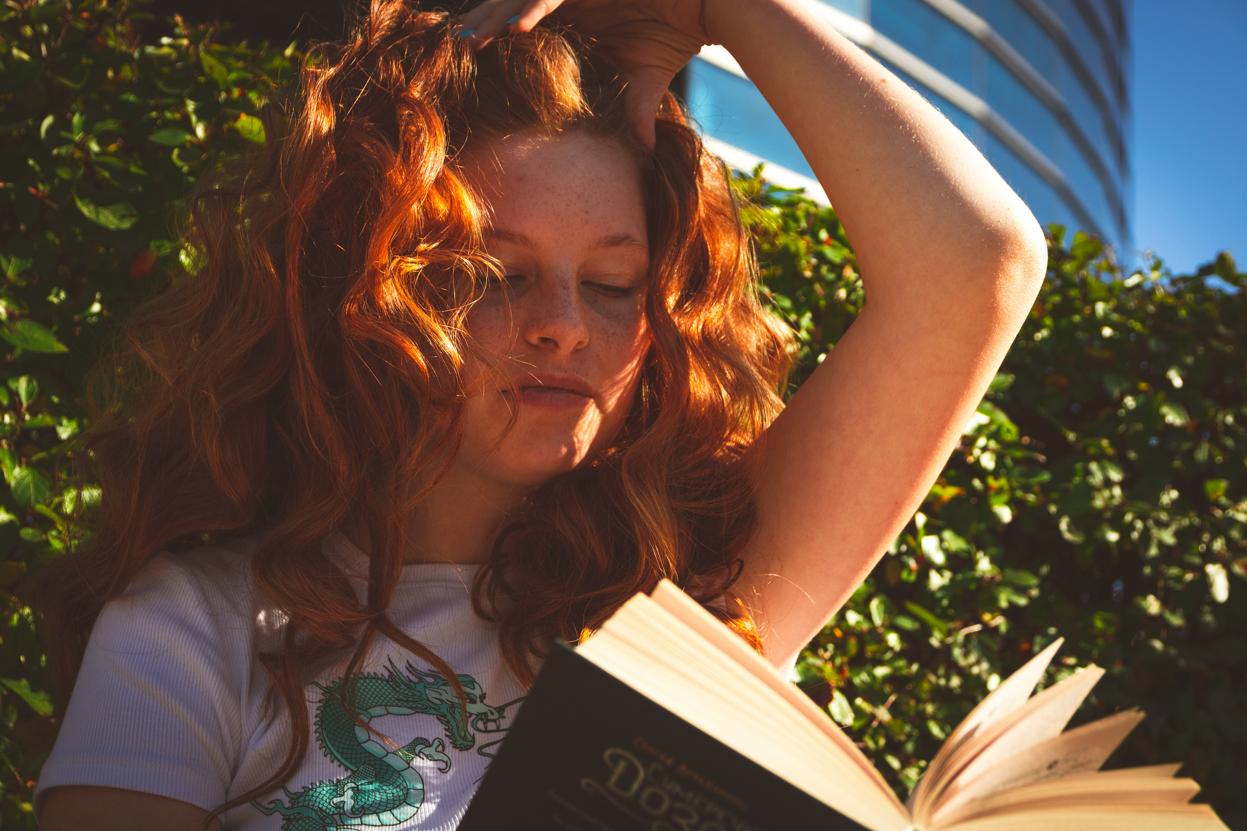 Päevalilled (Nika A.). Nebula 25 — Fotod teie hingele