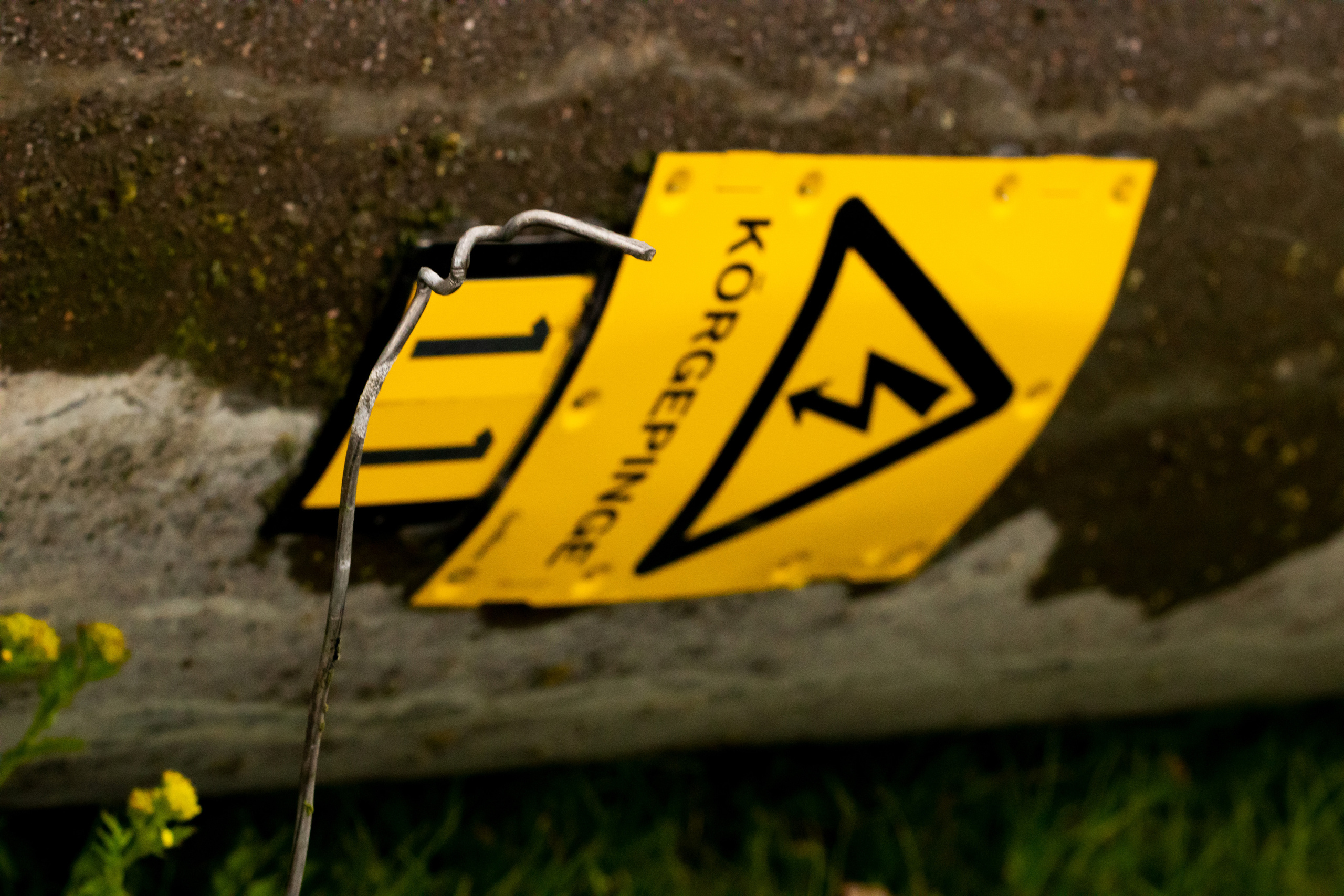 Möldre tee. Nebula 25 — Fotod teie hingele