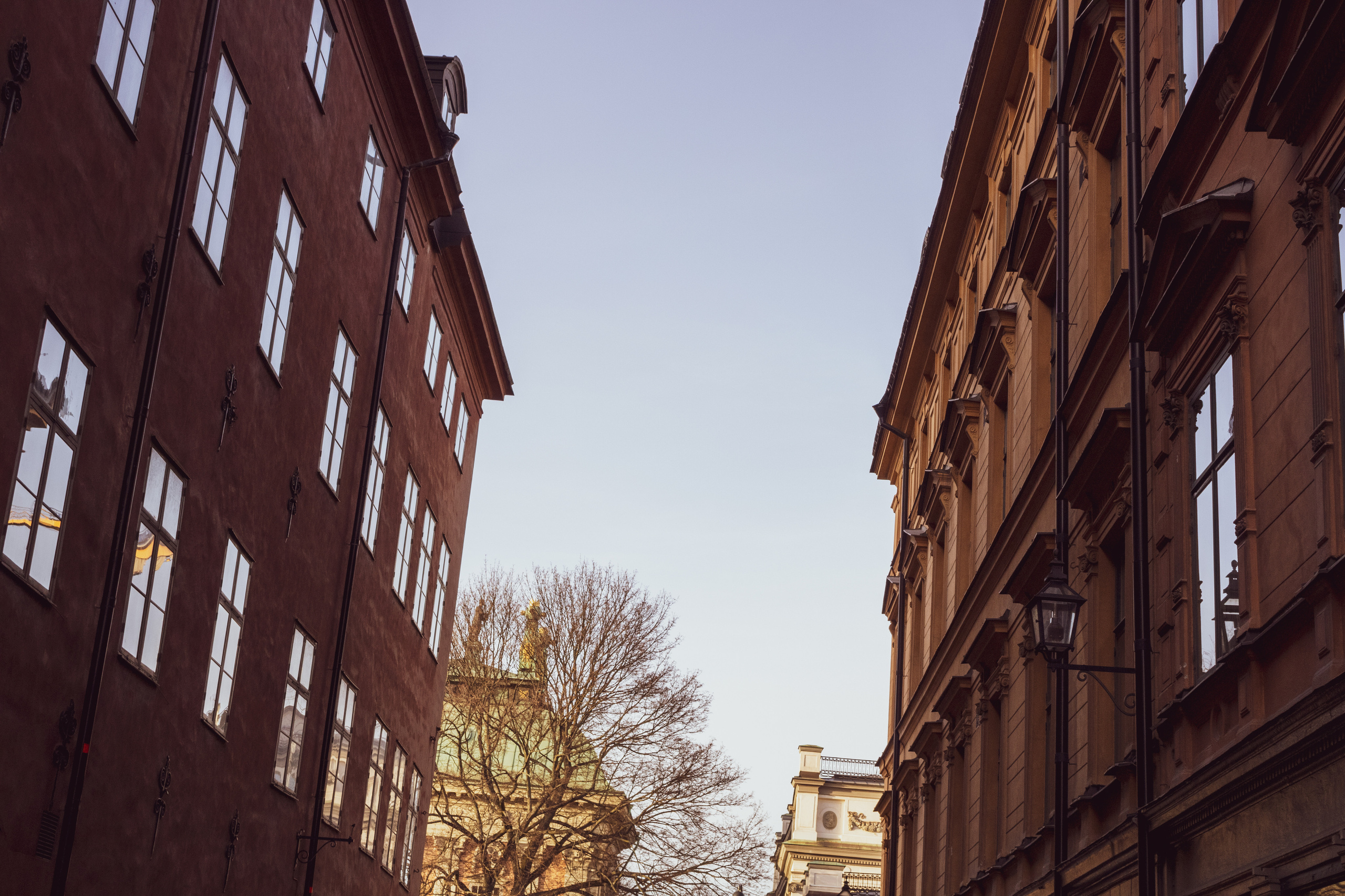 Rootsi reis. Nebula 25 — Fotod teie hingele