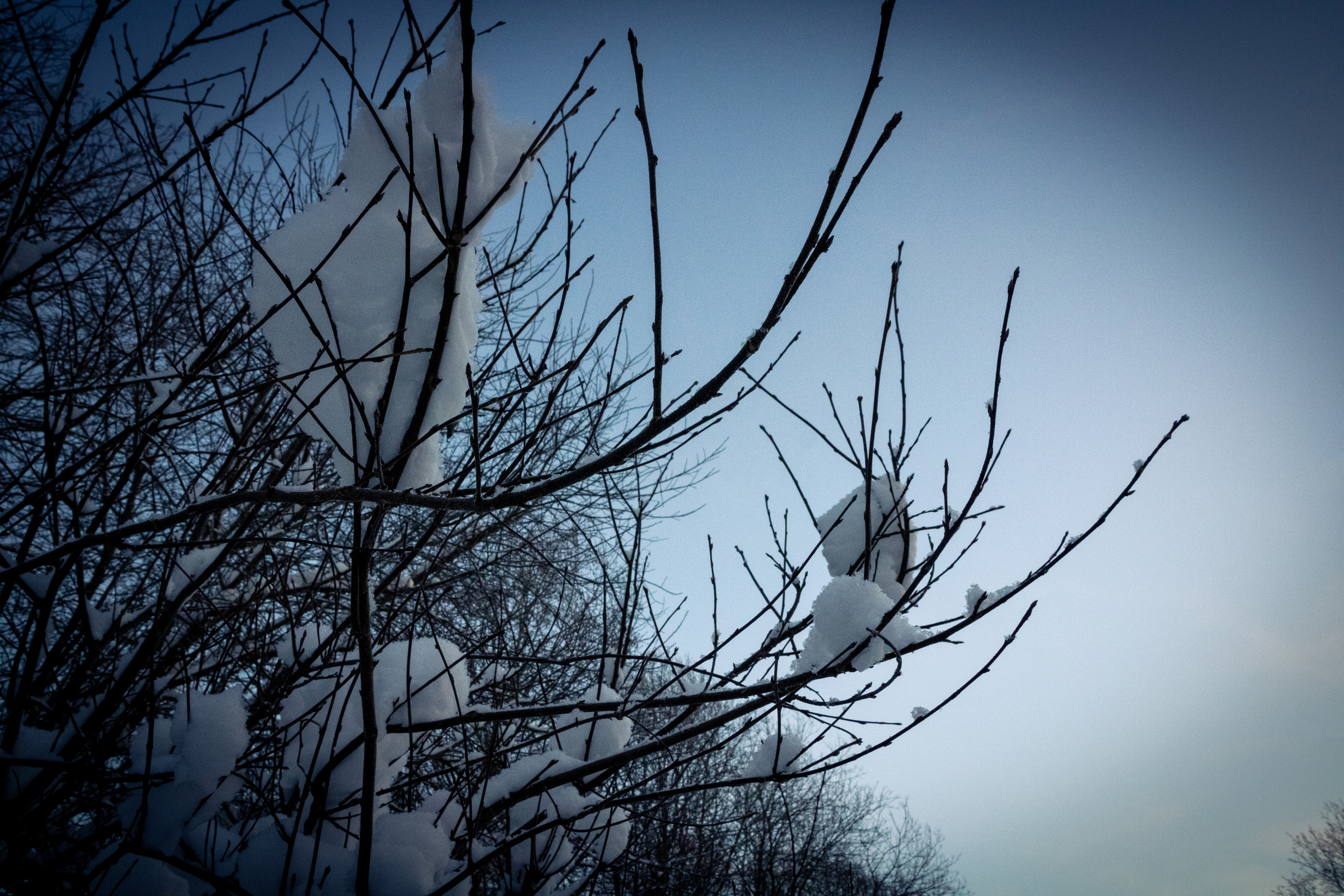 Talvine mets (2021 a.). Nebula 25 — Fotod teie hingele