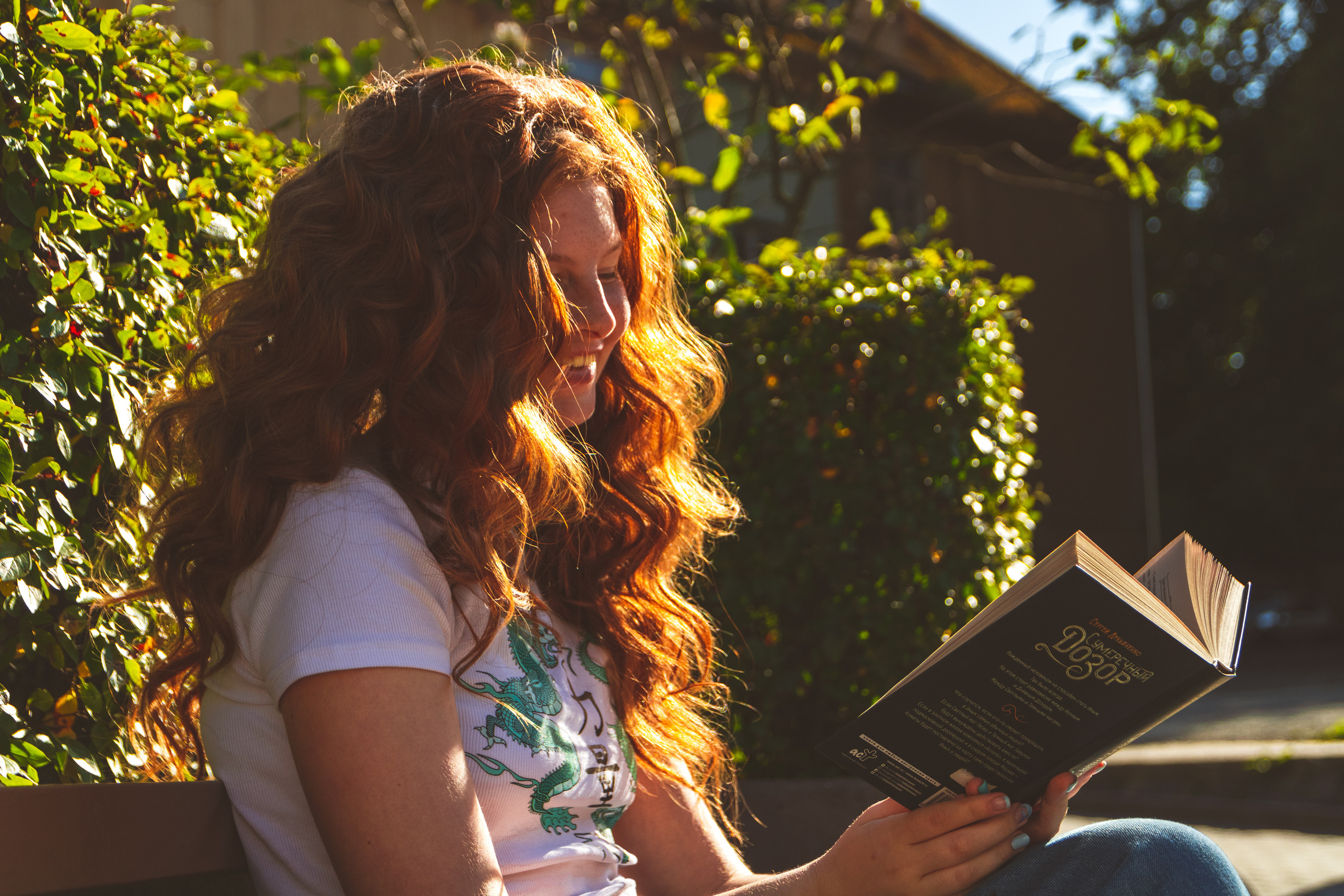 Päevalilled (Nika A.). Nebula 25 — Fotod teie hingele