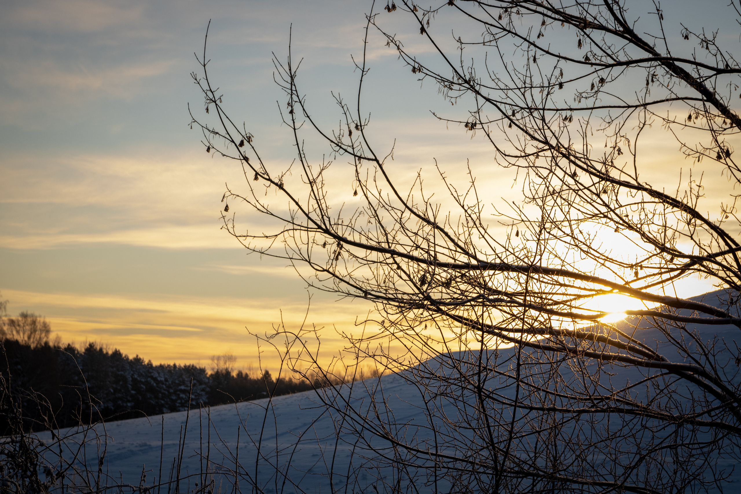 Talvine mets (2021 a.). Nebula 25 — Fotod teie hingele