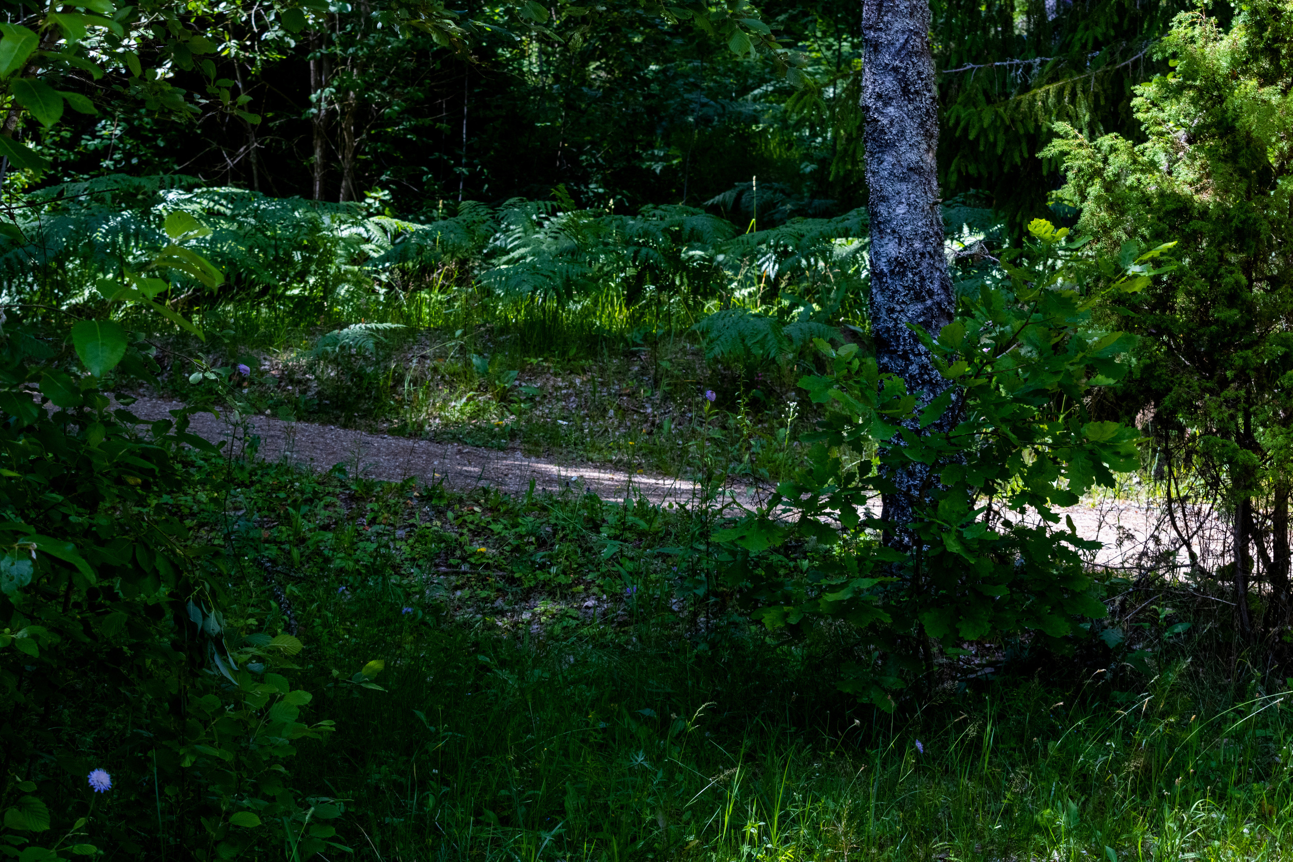 Peipsi järv (Taevaskoja). Nebula 25 — Fotod teie hingele