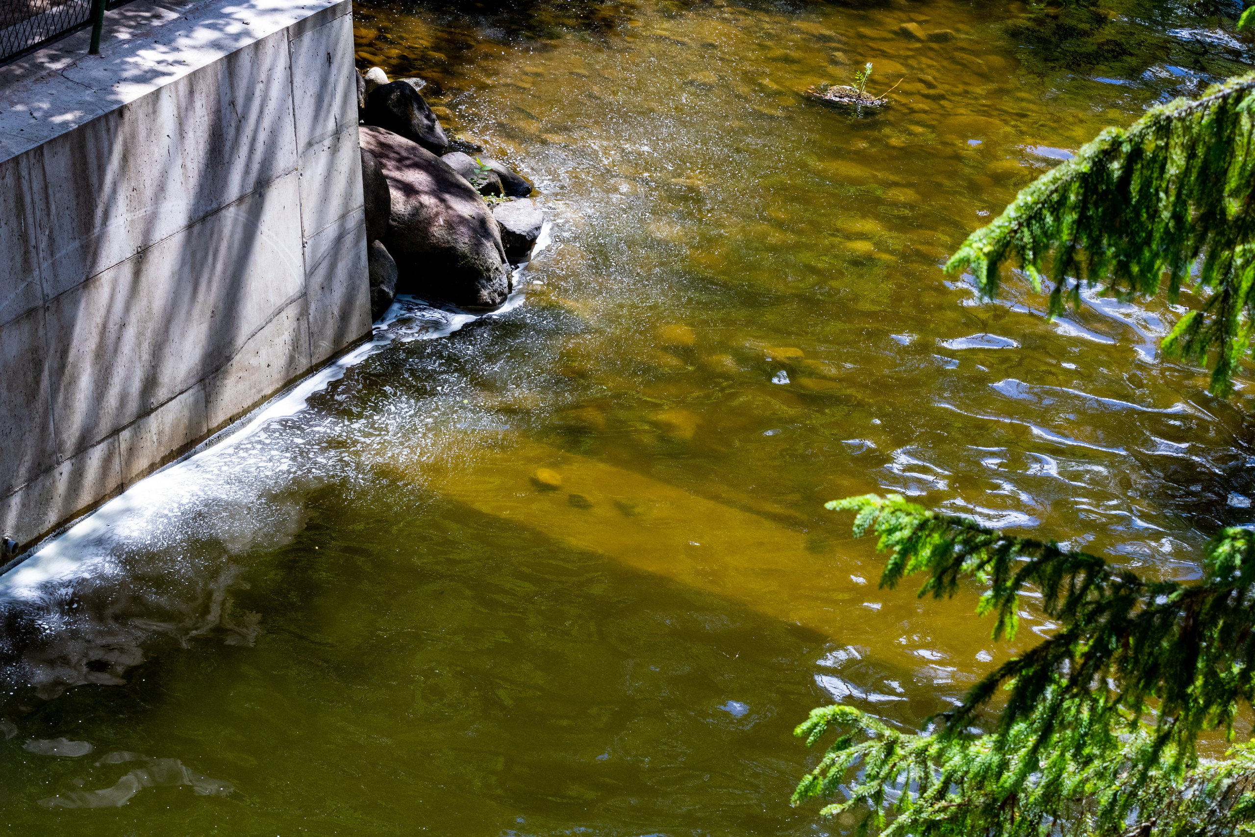 Peipsi järv (Taevaskoja). Nebula 25 — Fotod teie hingele