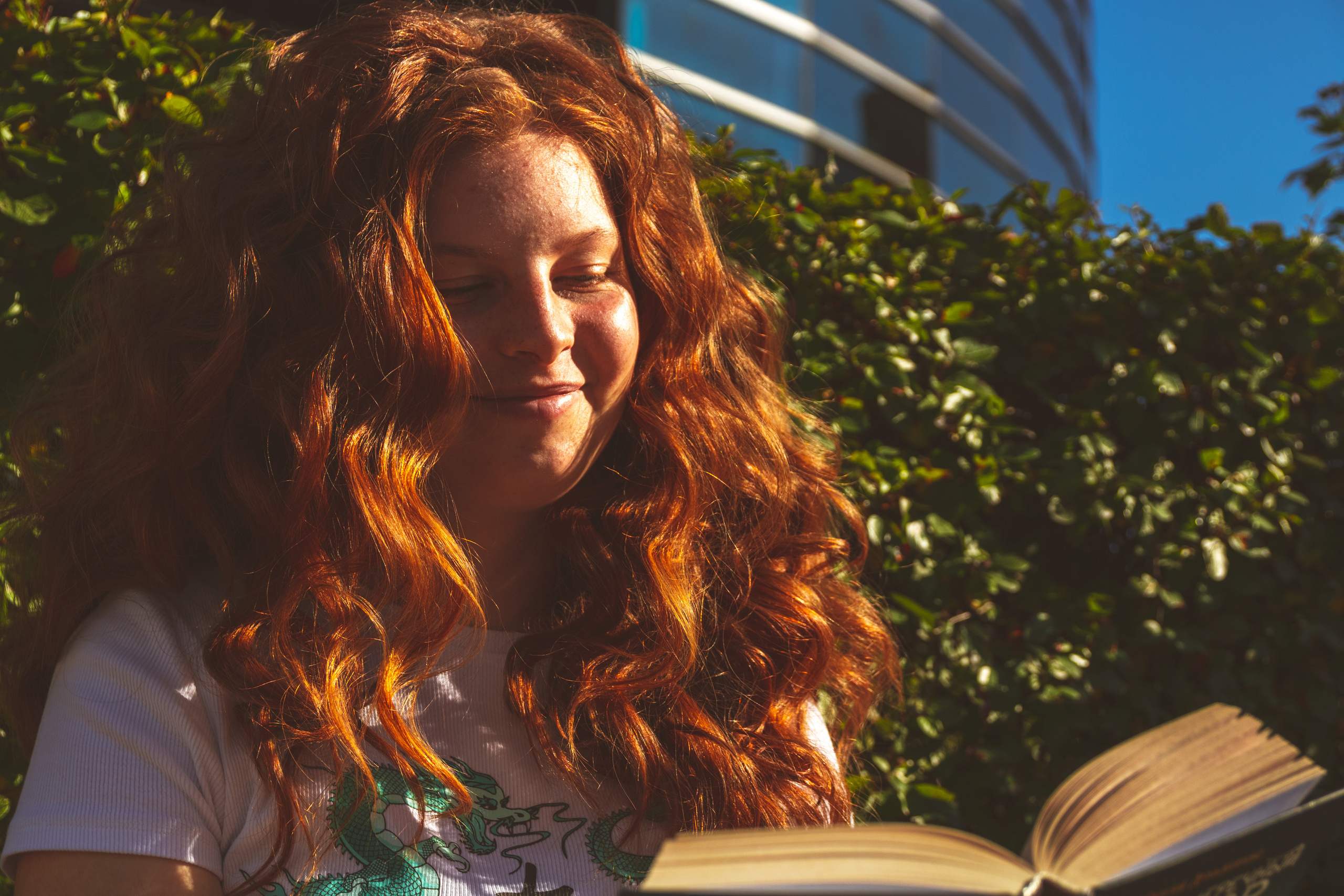 Päevalilled (Nika A.). Nebula 25 — Fotod teie hingele