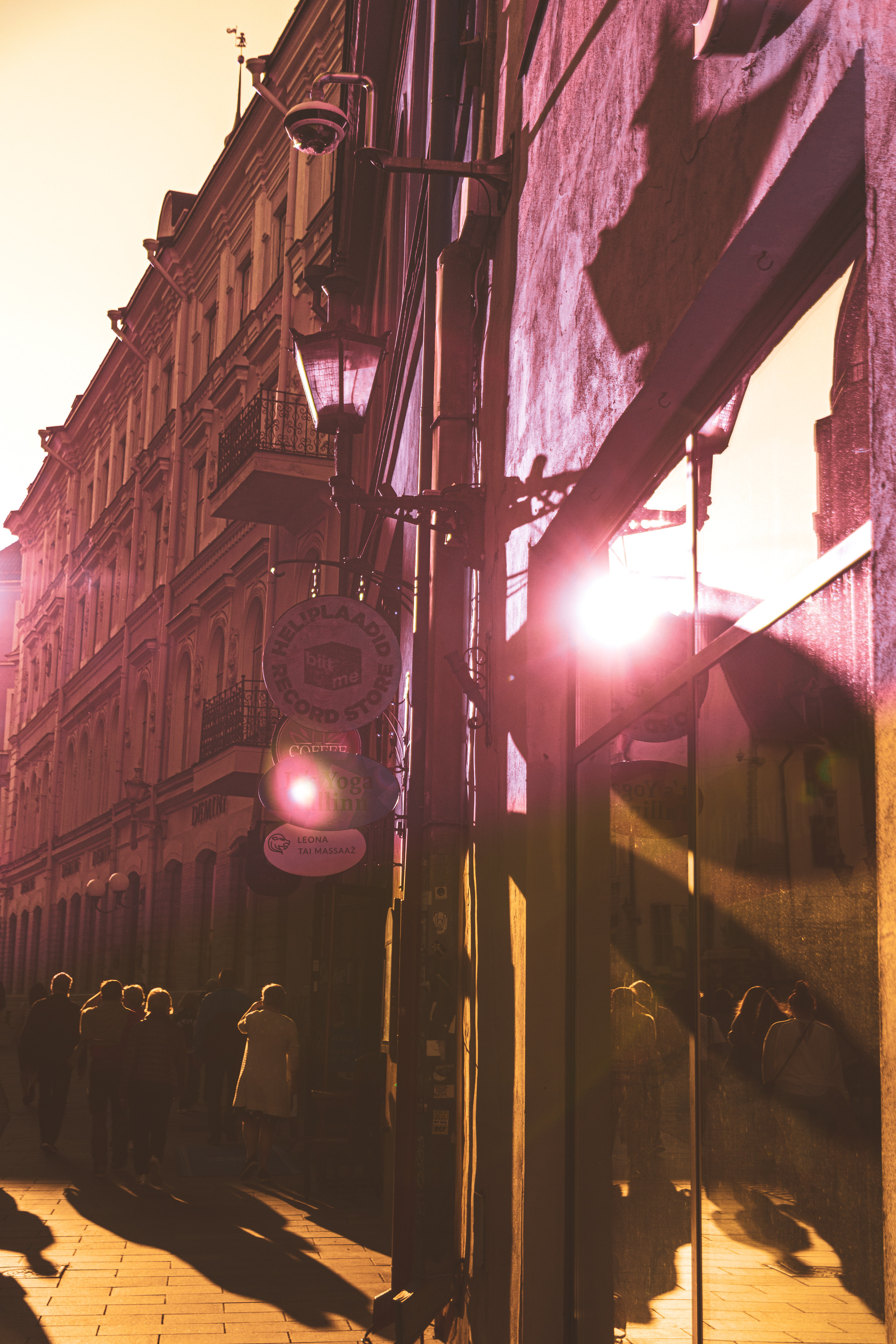 Päevalilled (Nika A.). Nebula 25 — Fotod teie hingele