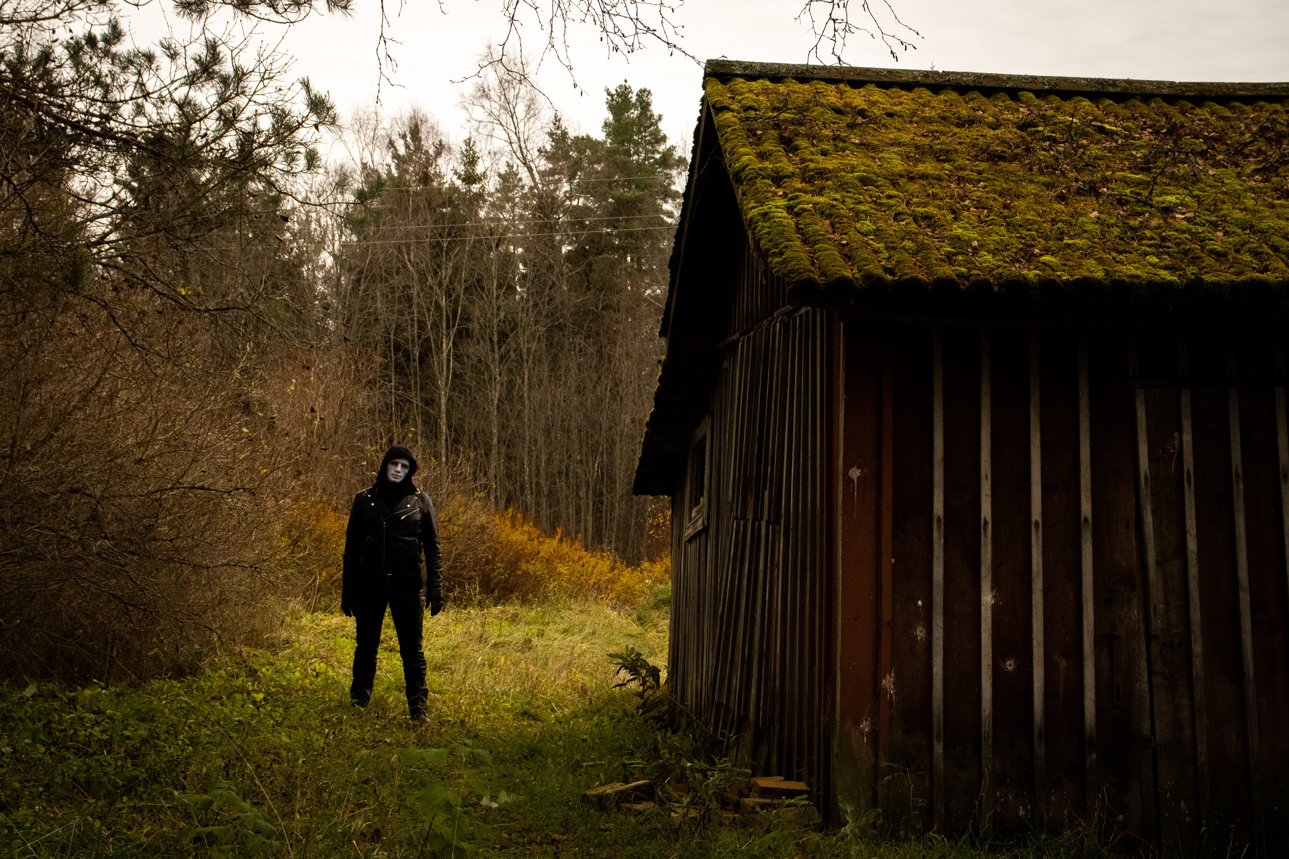 Rabasaare Kummituslinn (Vadim ja Nika A.). Nebula 25 — Fotod teie hingele