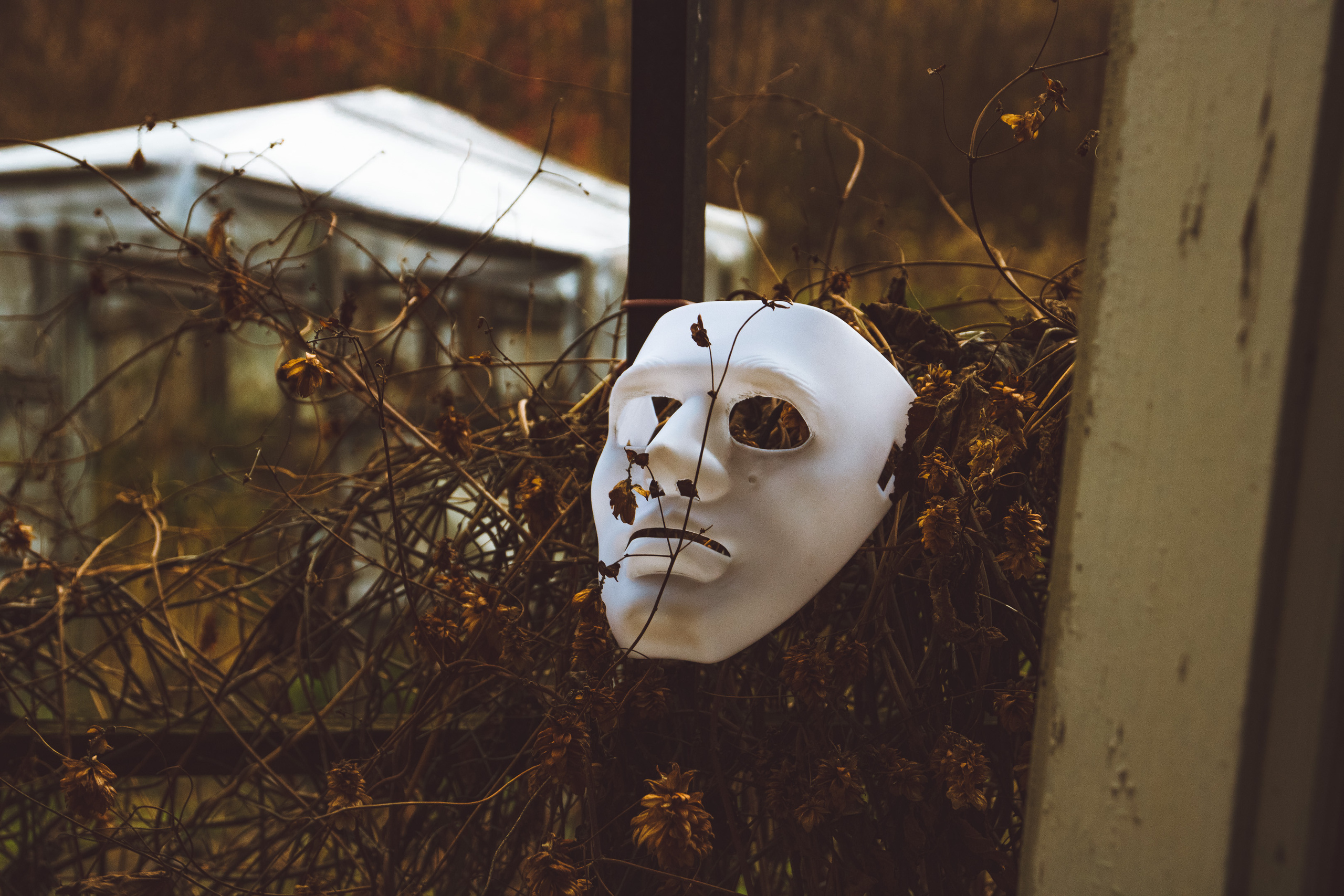 Rabasaare Kummituslinn (Vadim ja Nika A.). Nebula 25 — Fotod teie hingele