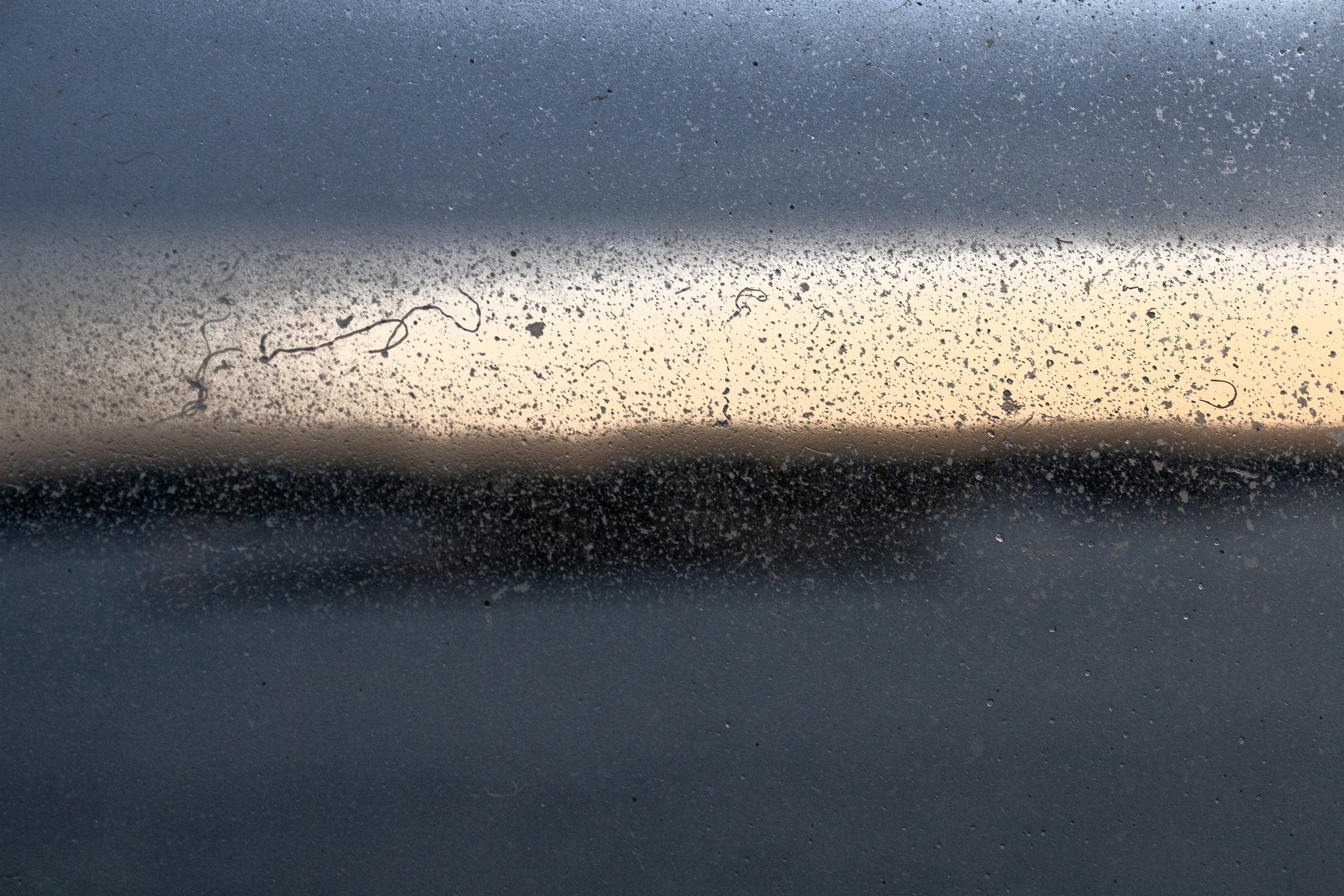 Rootsi reis. Nebula 25 — Fotod teie hingele