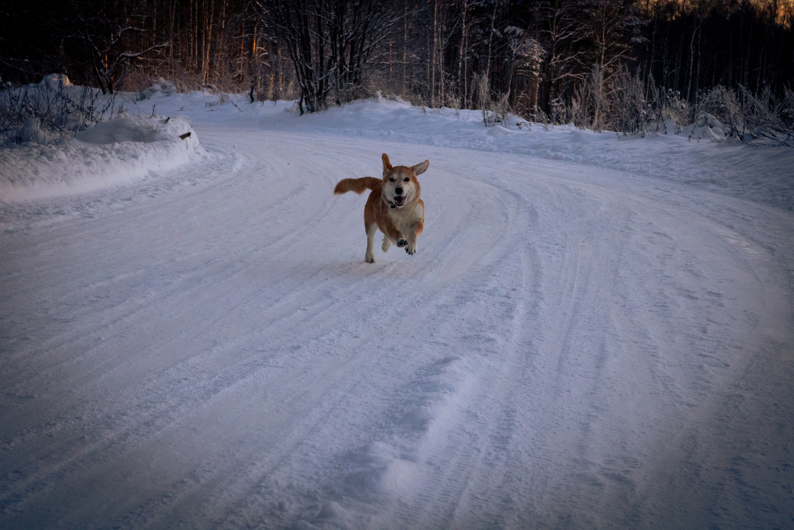 Talvine mets (2021 a.). Nebula 25 — Fotod teie hingele