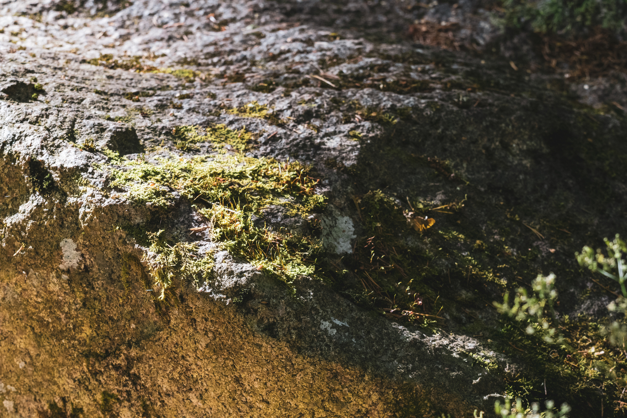 Peipsi järv (Taevaskoja). Nebula 25 — Fotod teie hingele