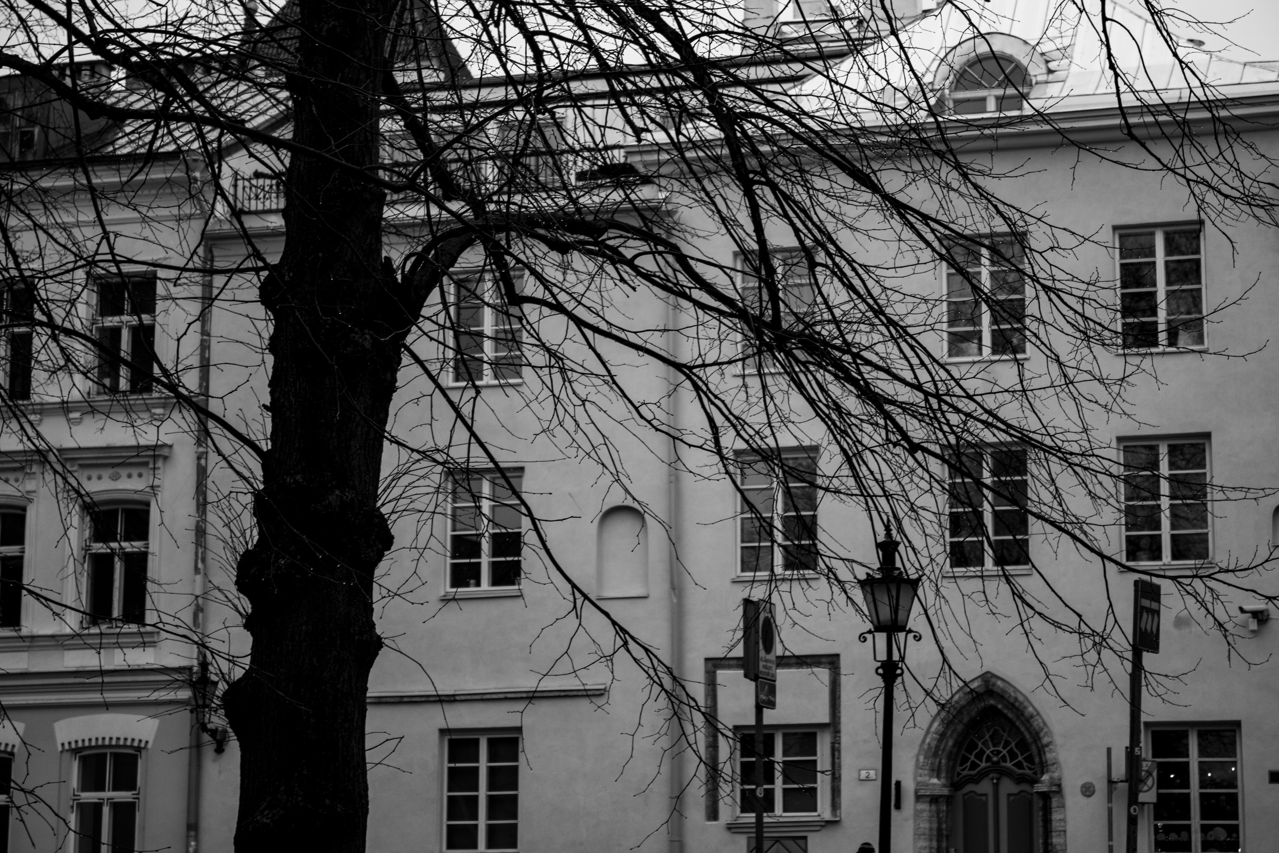 Kohvik. Nebula 25 — Fotod teie hingele