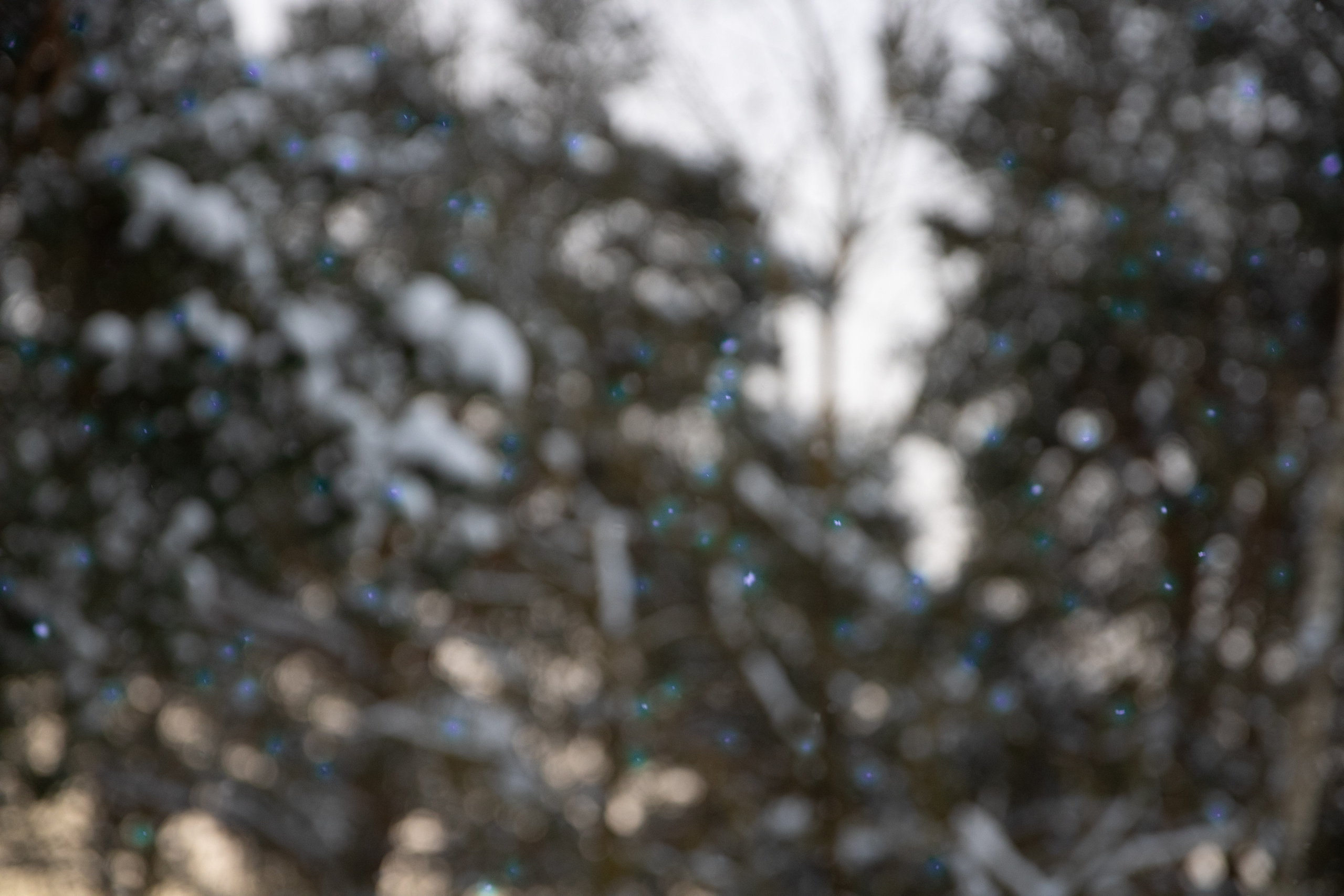 Talvine mets (2021 a.). Nebula 25 — Fotod teie hingele