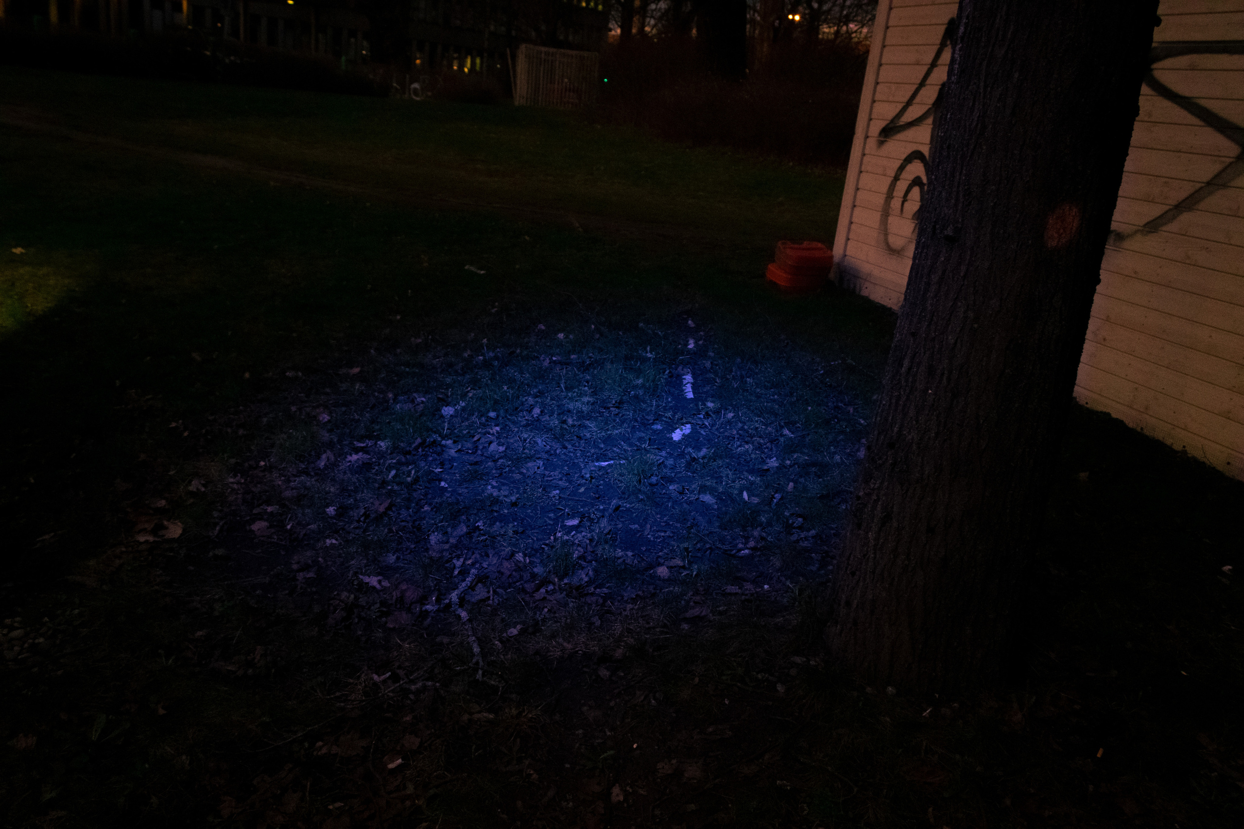 Rootsi reis. Nebula 25 — Fotod teie hingele