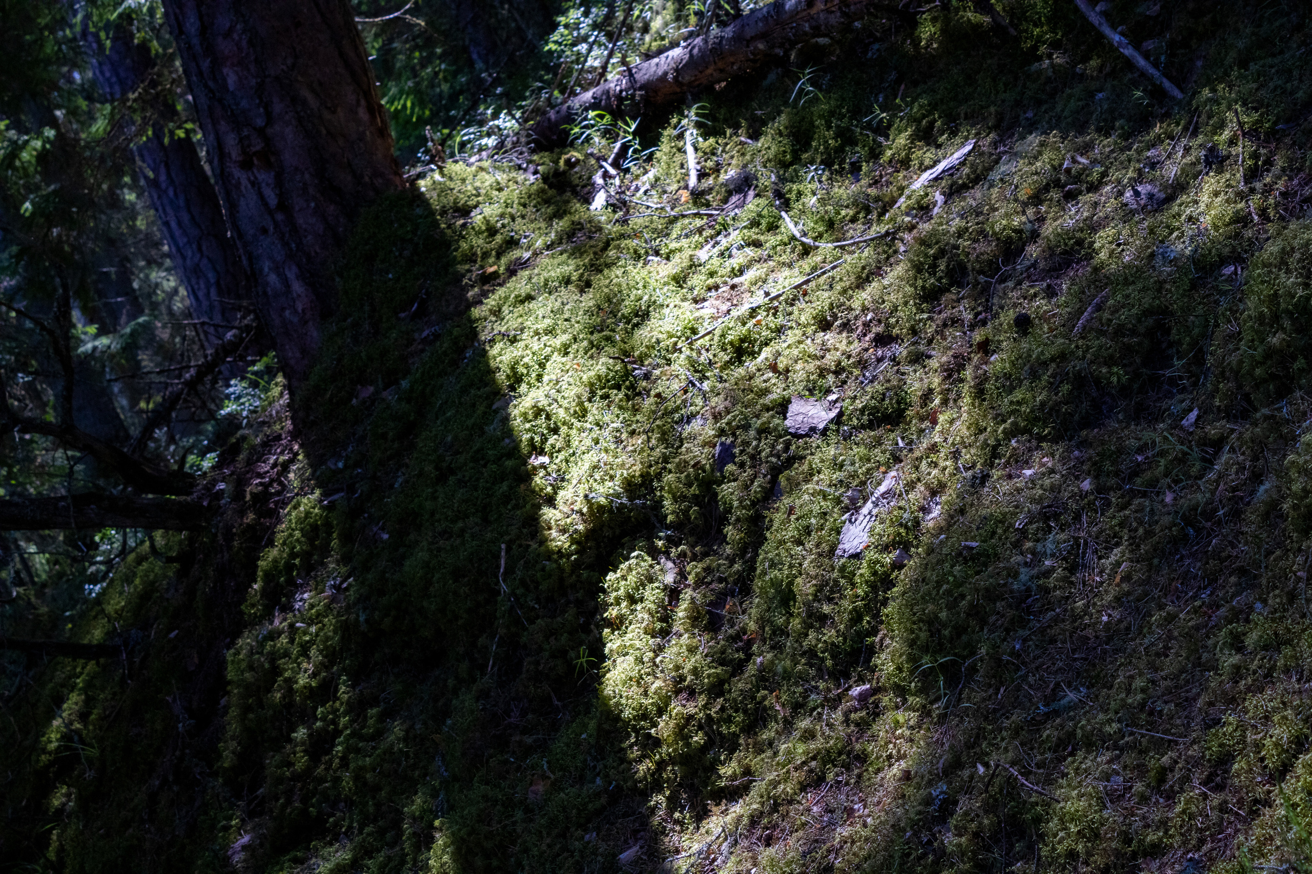 Peipsi järv (Taevaskoja). Nebula 25 — Fotod teie hingele
