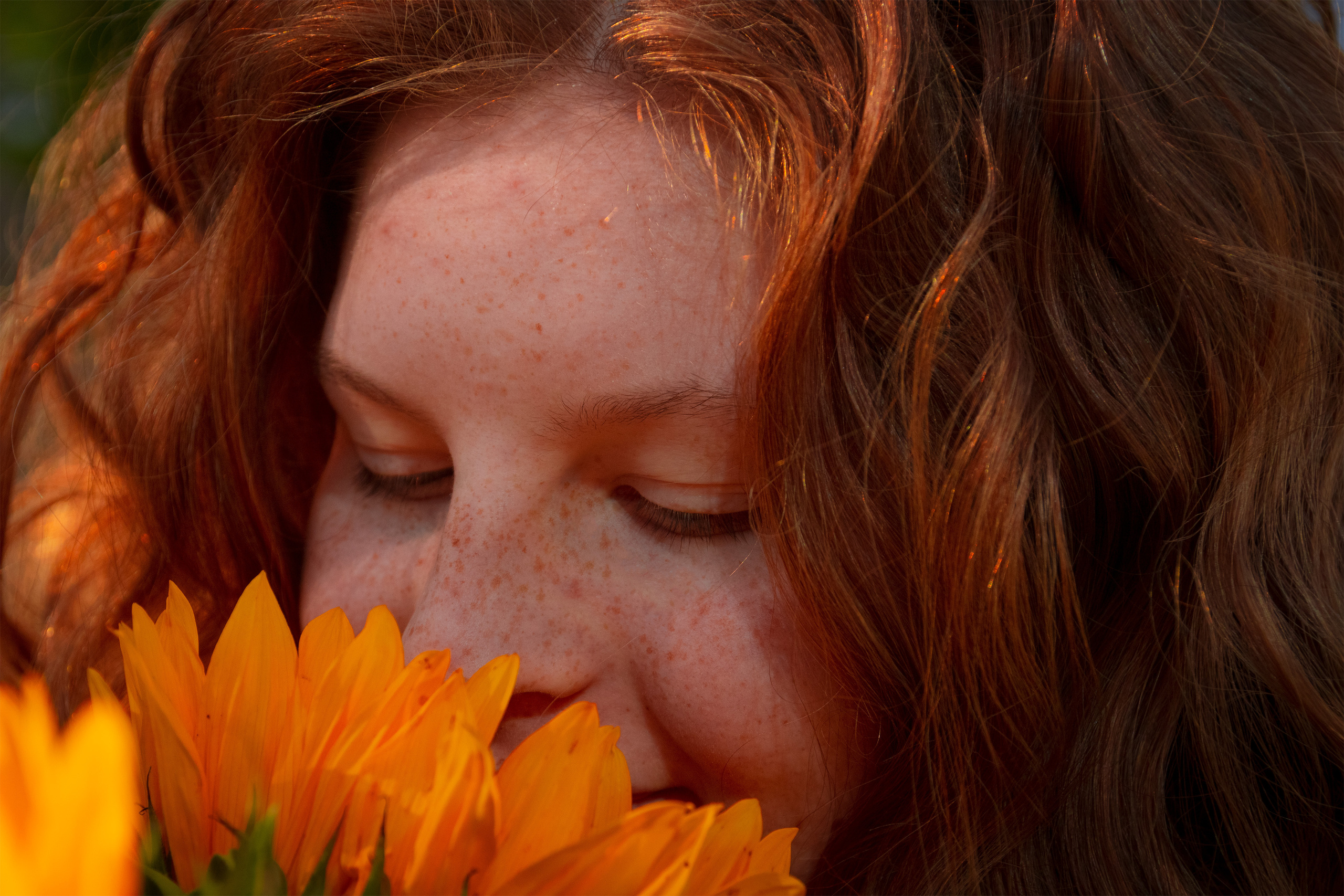 Päevalilled (Nika A.). Nebula 25 — Fotod teie hingele