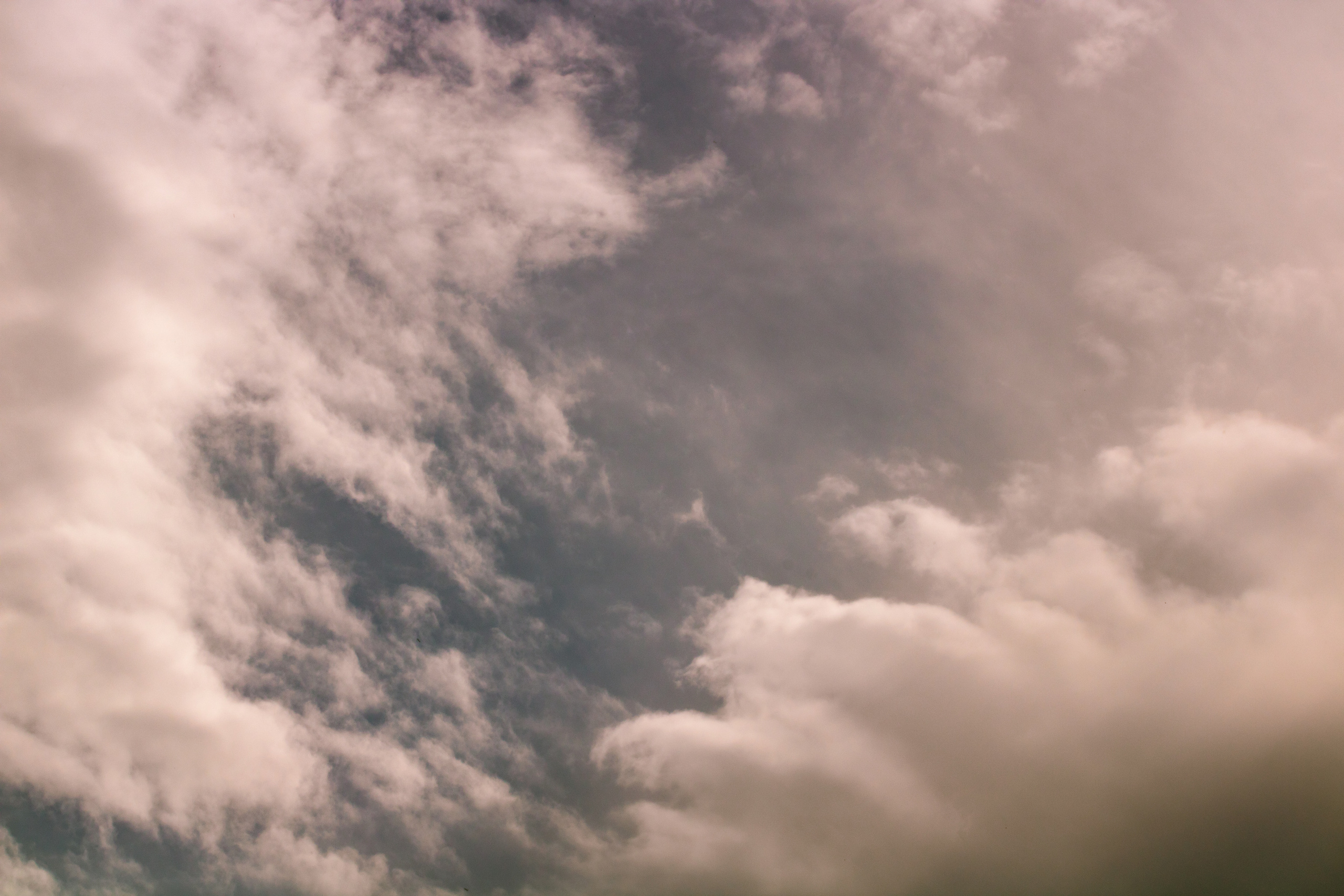 Viadukti ümbrus (2020 a.). Nebula 25 — Fotod teie hingele