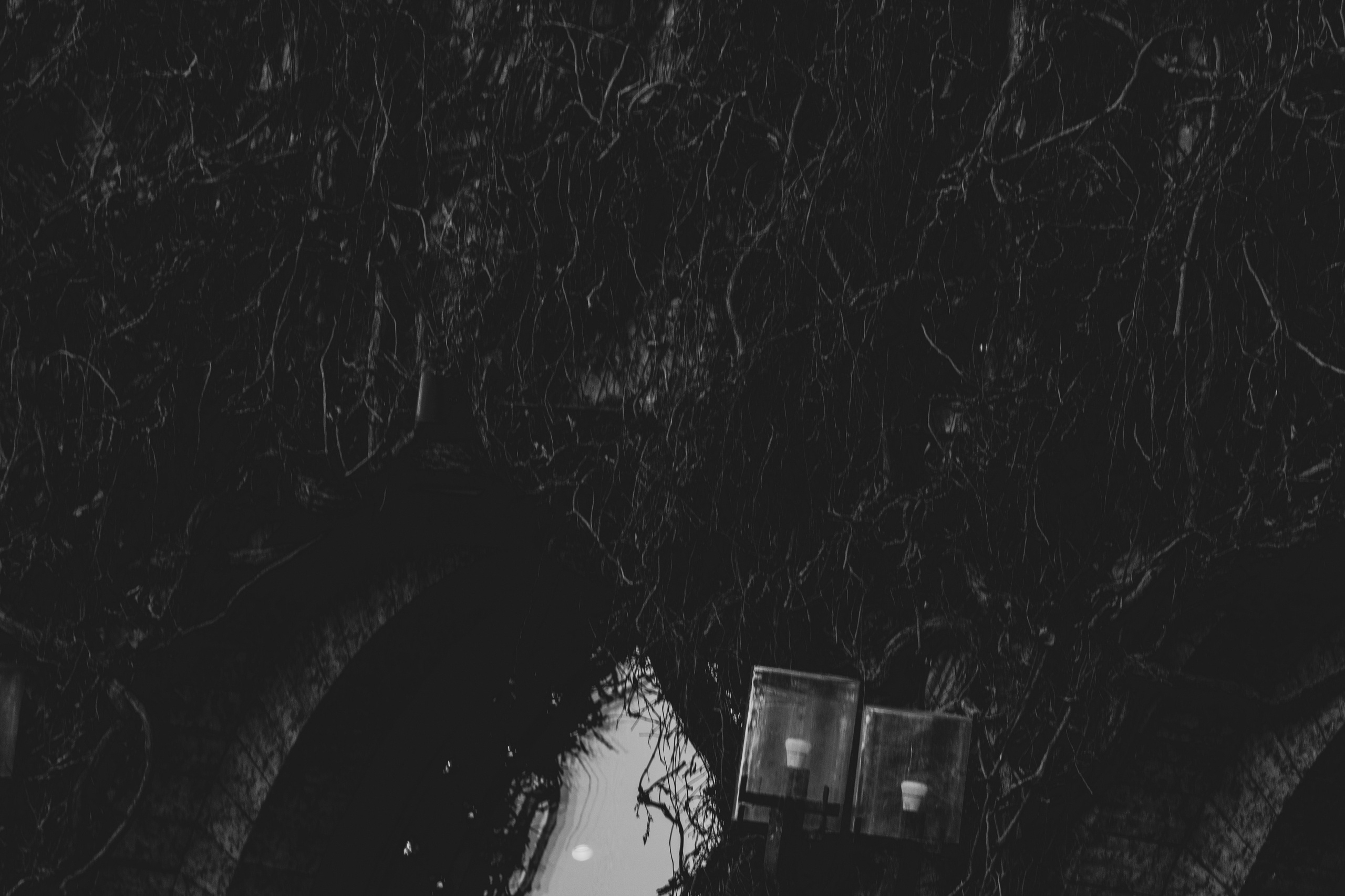 Rootsi reis. Nebula 25 — Fotod teie hingele