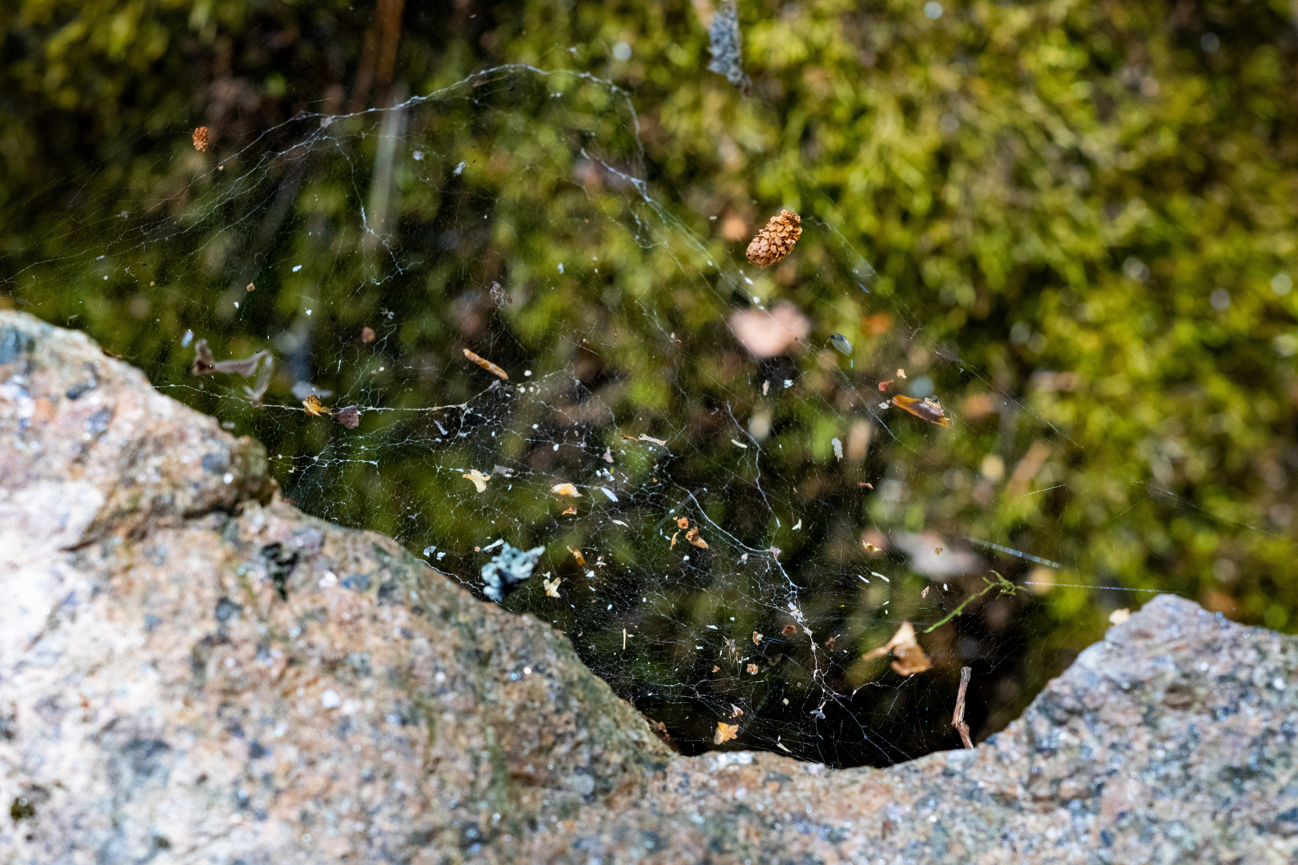 Peipsi järv (Taevaskoja). Nebula 25 — Fotod teie hingele