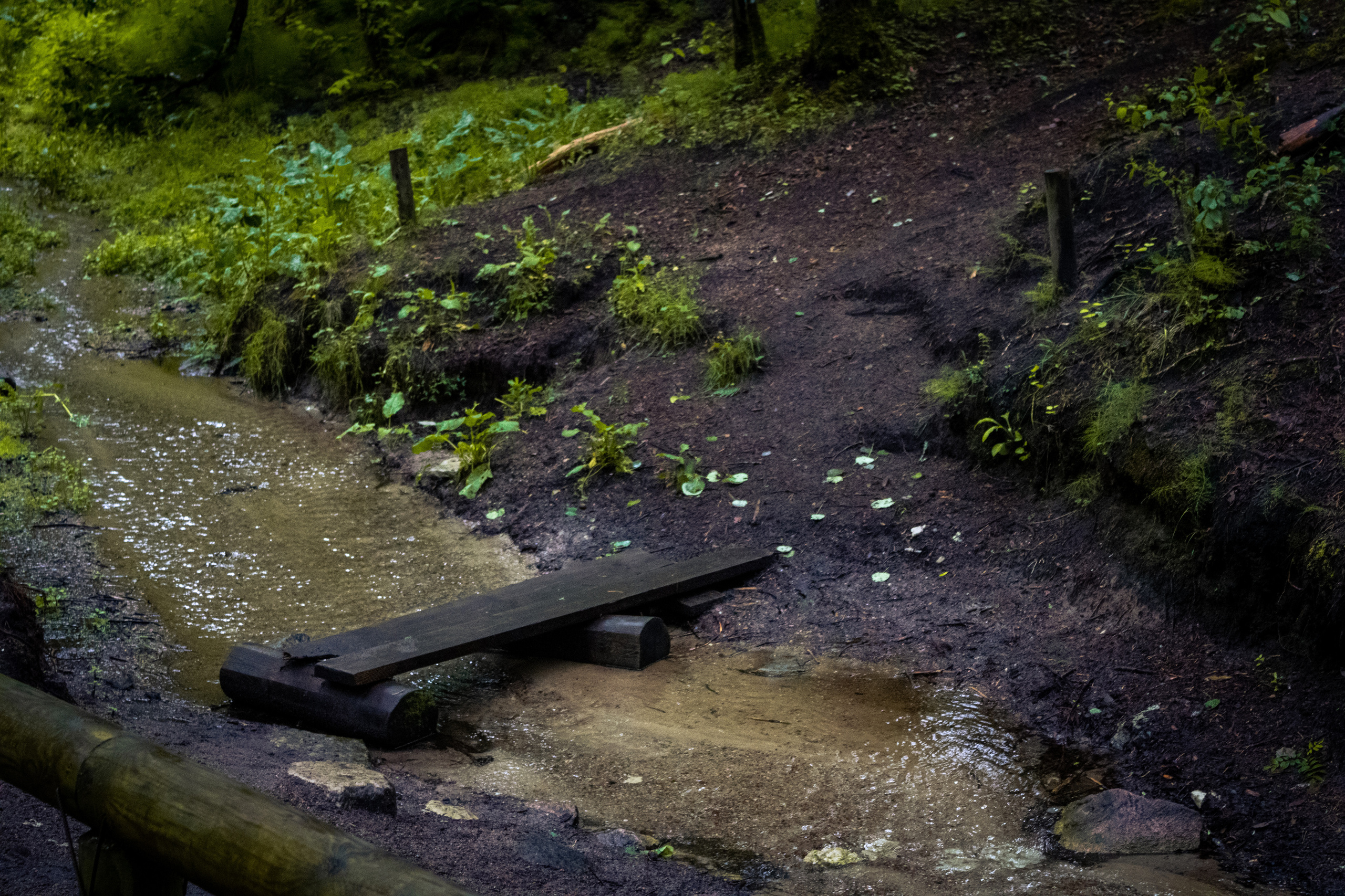 Pääsküla rabarada (Kolja J.). Nebula 25 — Fotod teie hingele