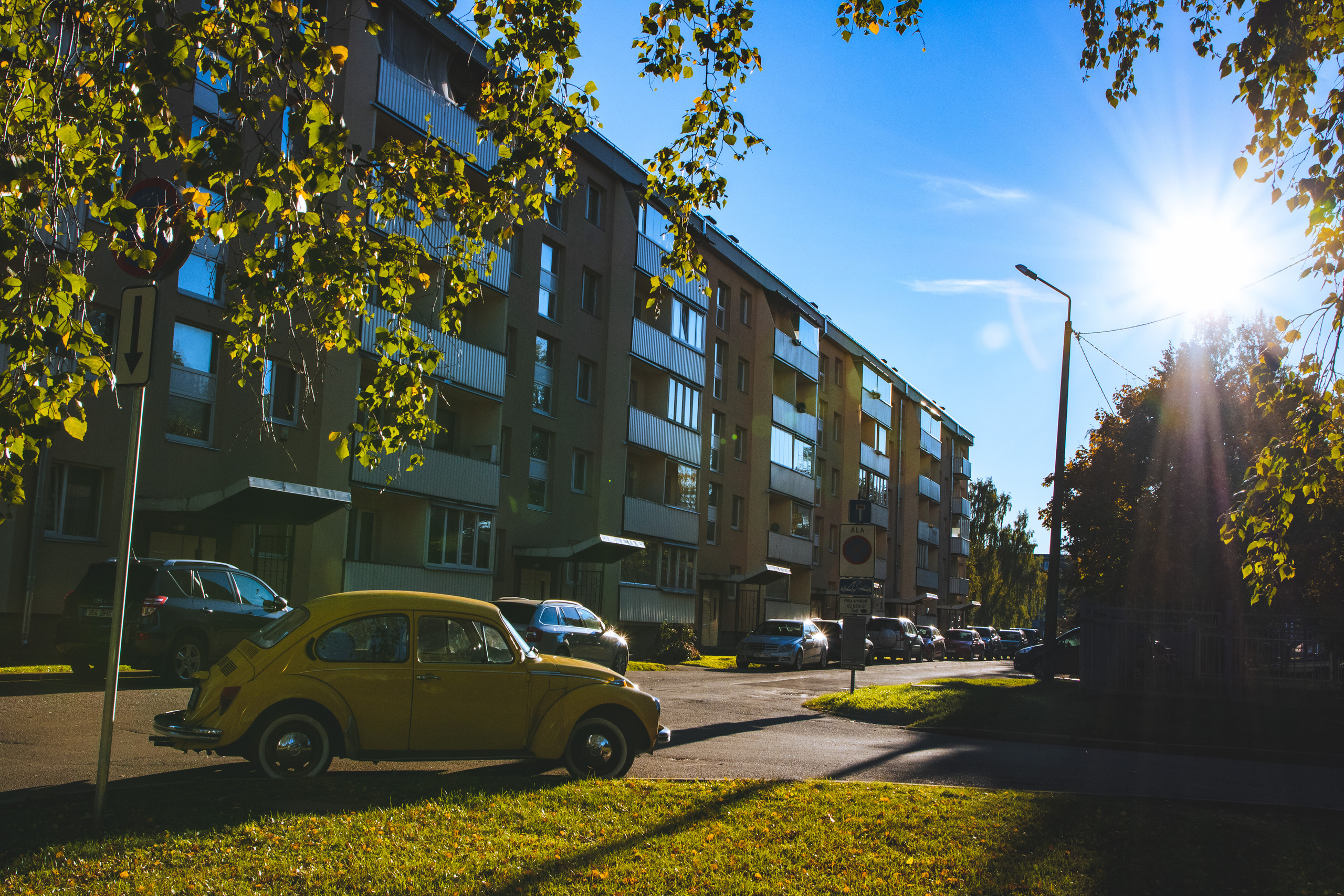 Tsoon „Stalker“ ja Volkswagen Beetle. Nebula 25 — Fotod teie hingele