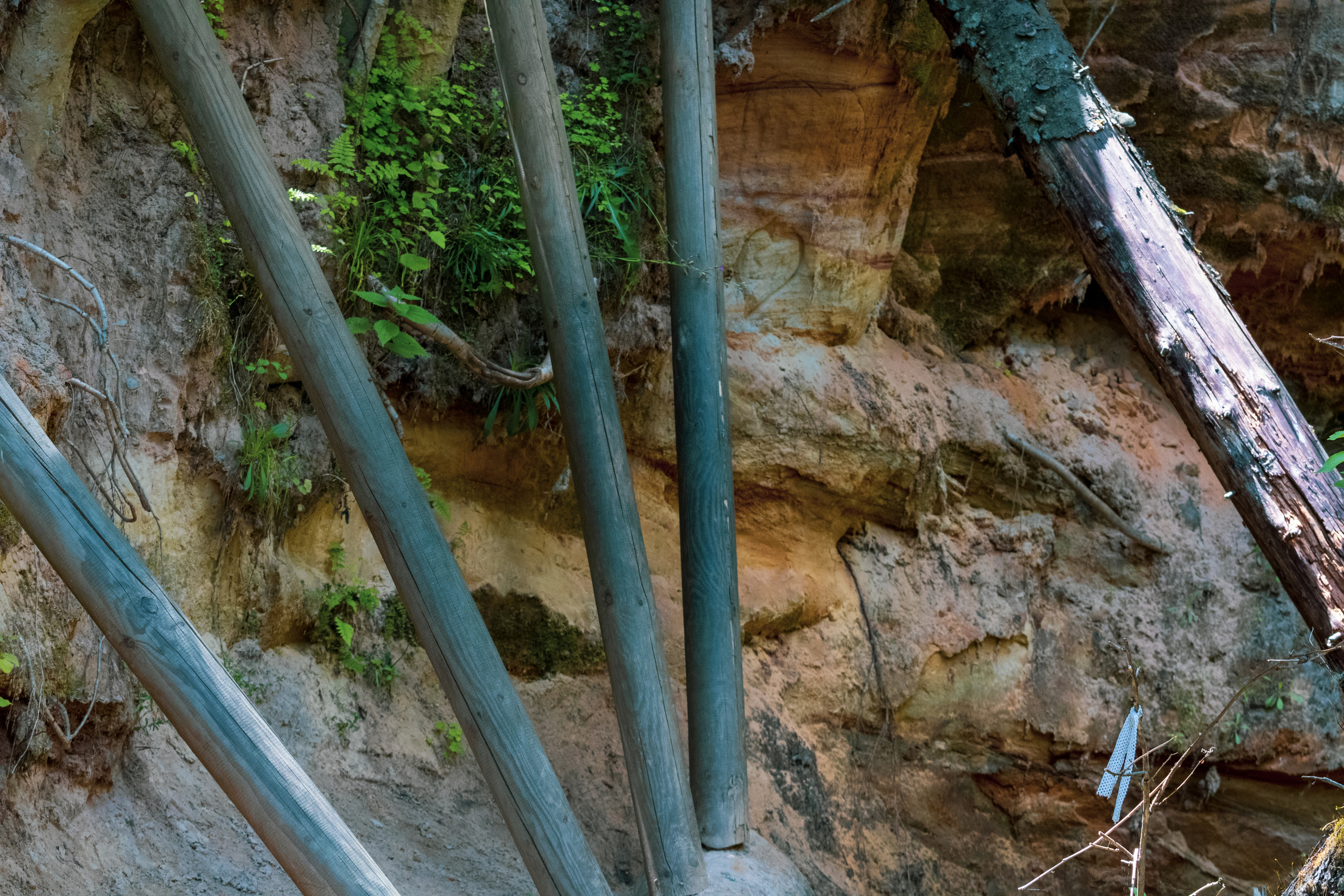 Peipsi järv (Taevaskoja). Nebula 25 — Fotod teie hingele